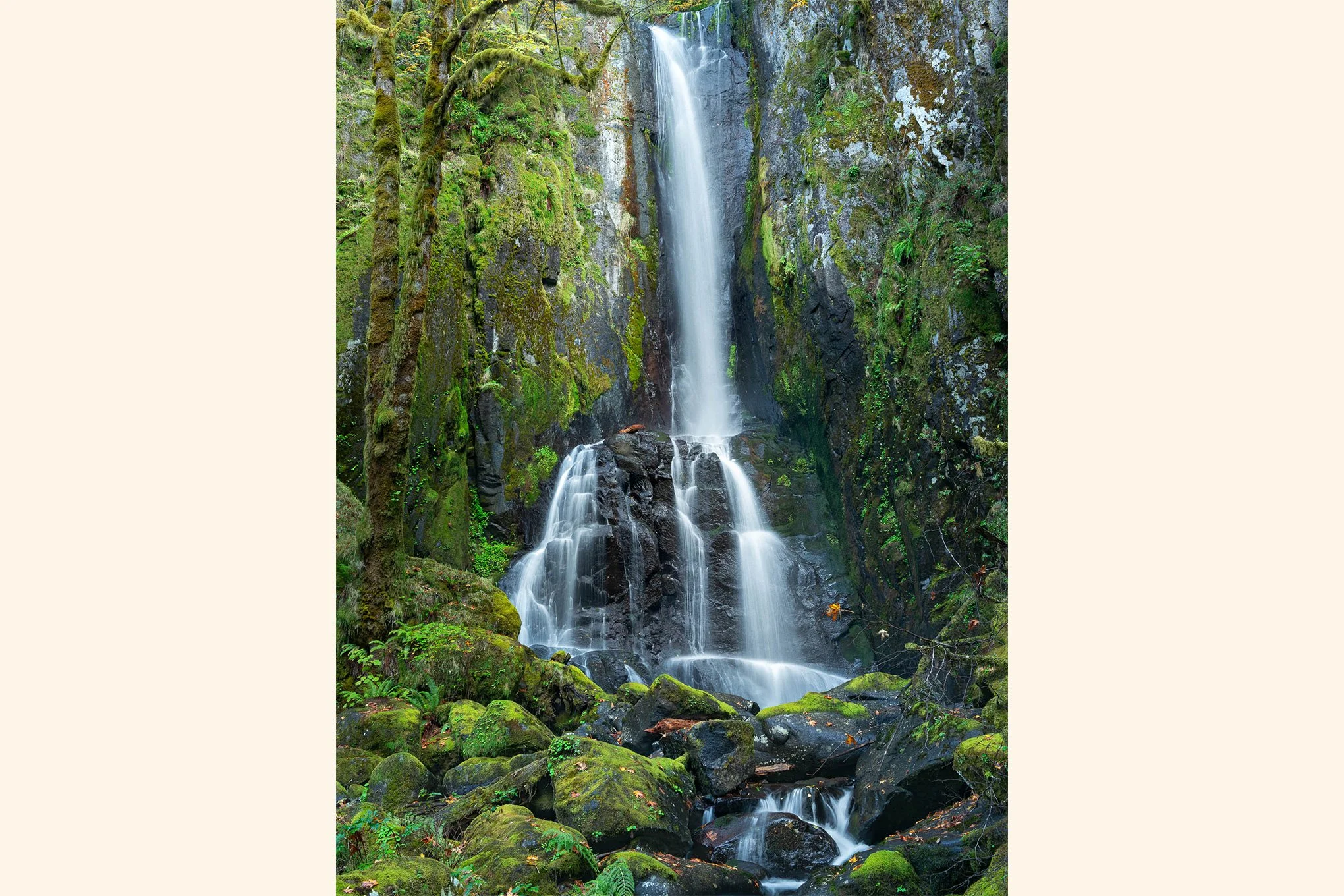 lower-kentucky-falls-oregon-coast-range-waterfall-landscape-photography-brendan-alex-phoenix.jpg