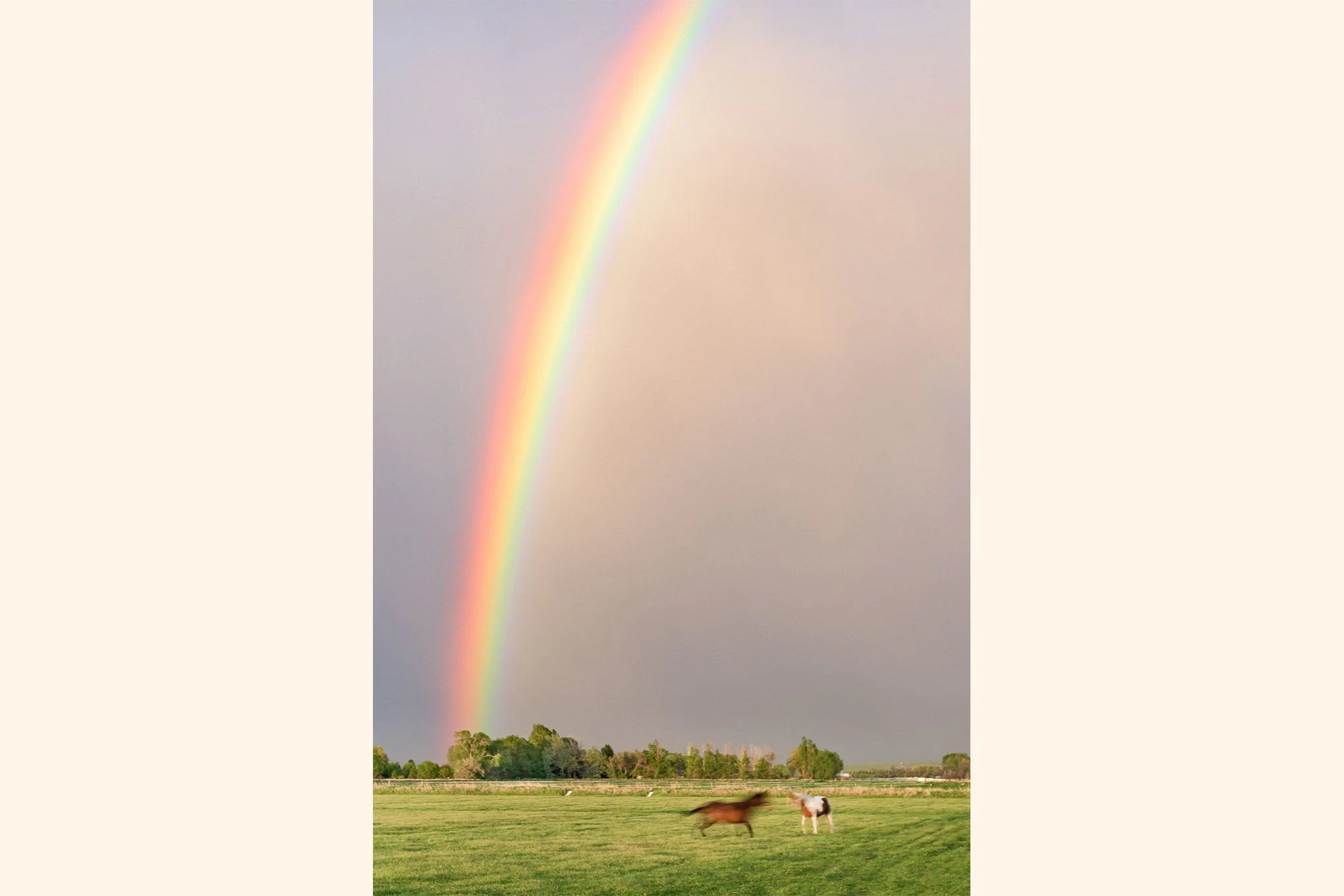 rainbow-horses-rainstorm-evening-light-pasture-idaho-falls-landscape-photography-brendan-alex-phoenix.jpg