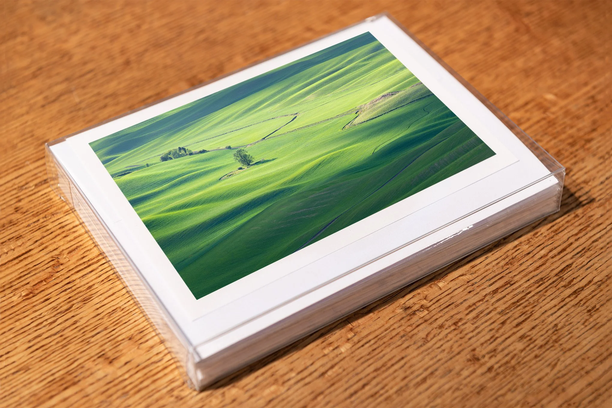 guardian-2-greeting-card-mockup-brendan-alex-phoenix.jpg
