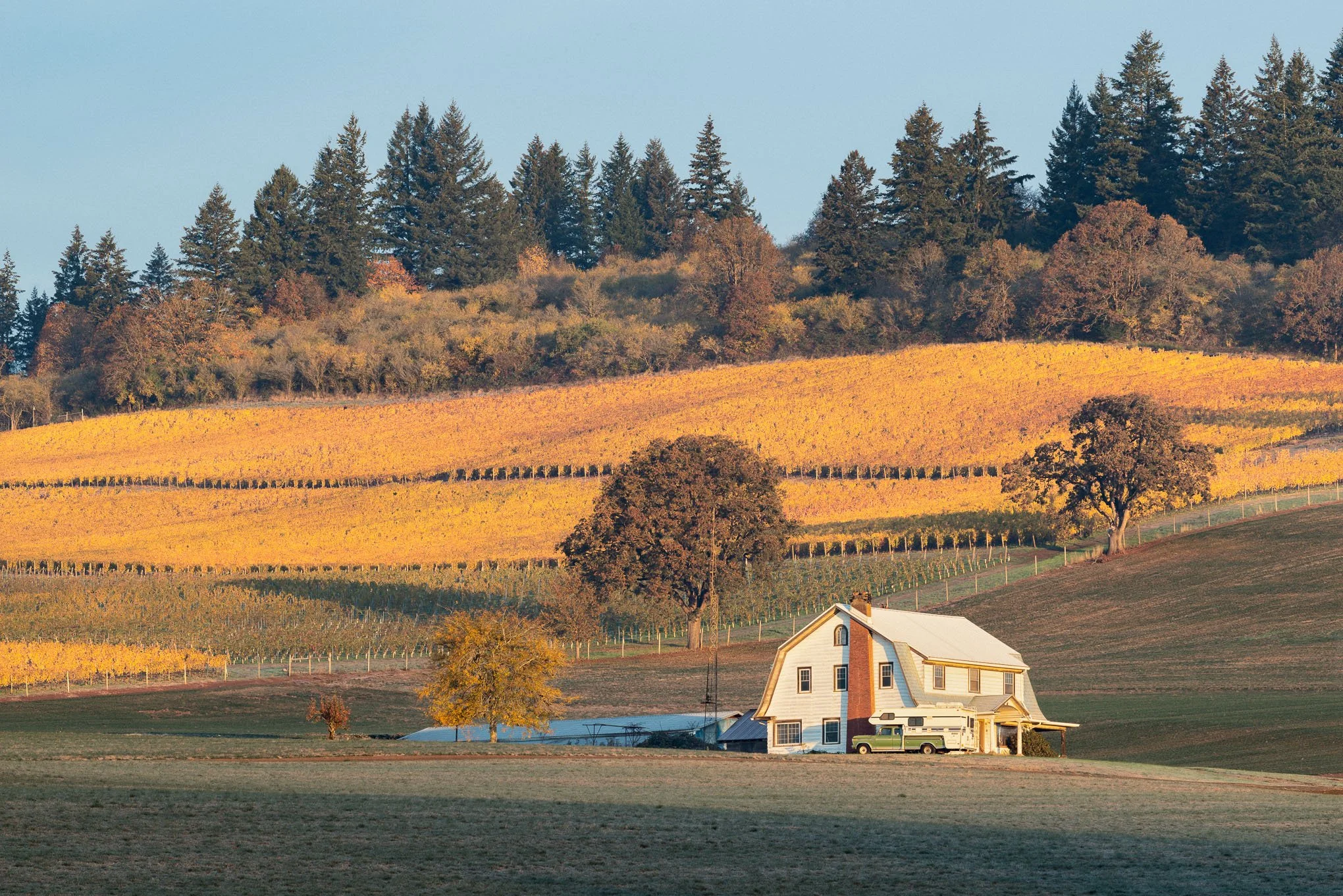mcdougall-road-farmhouse-dundee-oregon-wine-country-landscape-photography-by-brendan-alex-phoenix.jpg