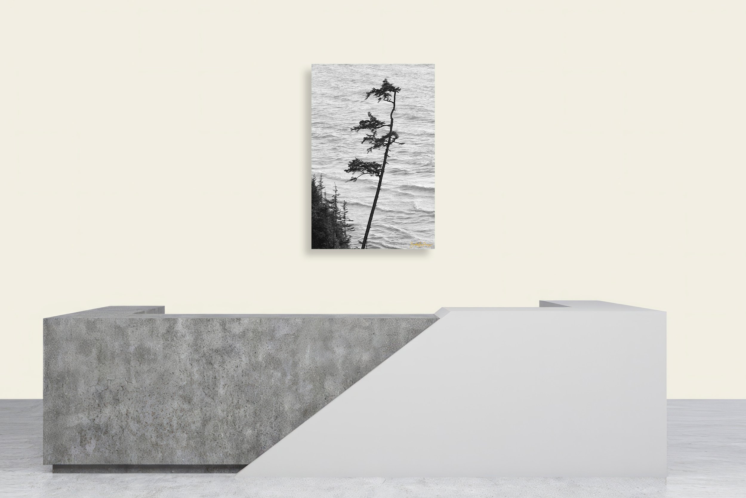 Arabesque-black-and-white-canvas-print-wall-mockup-brendan-alex-phoenix.jpg