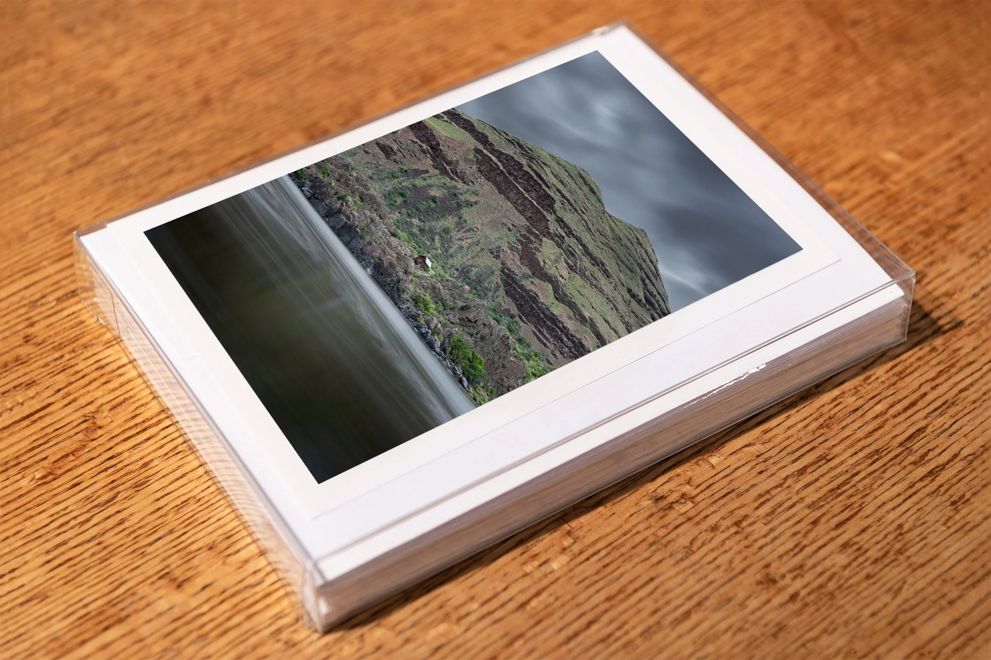 buffalo-eddy-greeting-card-mockup-brendan-alex-phoenix.jpg