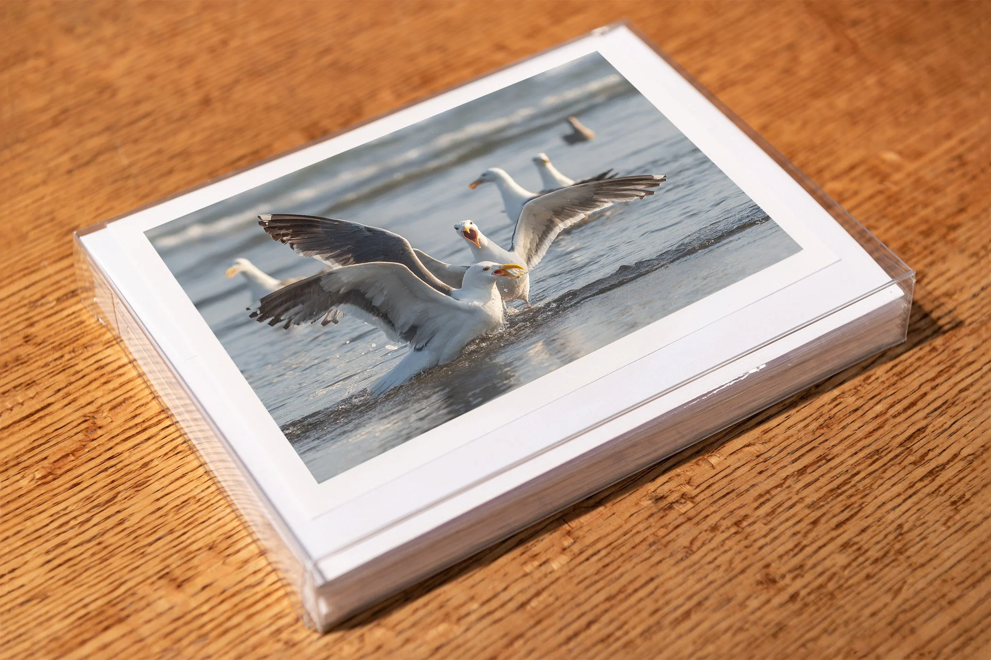 mine!-greeting-card-mockup-brendan-alex-phoenix.jpg