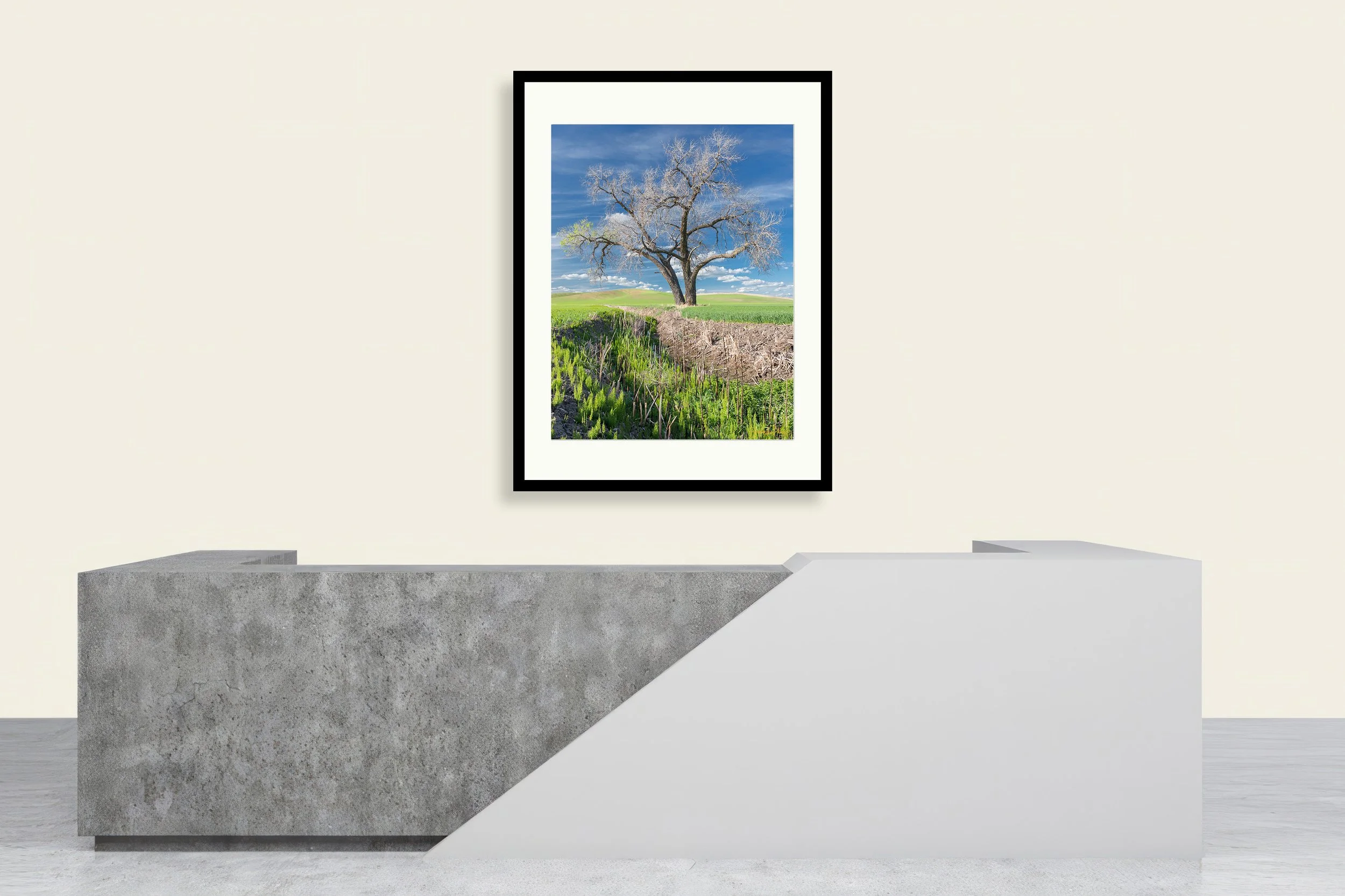 last-limb-paper-print-wall-mockup-brendan-alex-phoenix.jpg