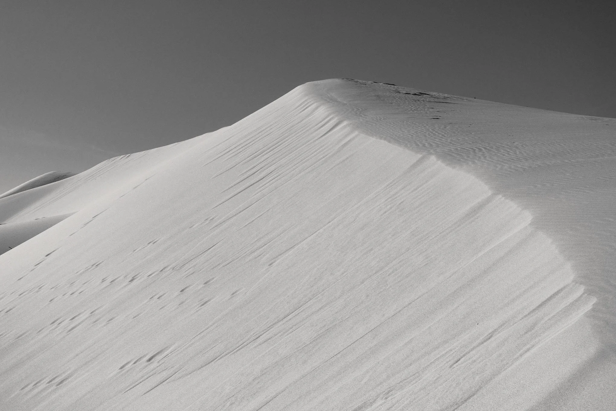 oregon-sahara-black-and-white-sweeping-sand-dunes-john-dellenback-trail-southern-oregon-coast-desert-landscape-photography-brendan-alex-phoenix.jpg