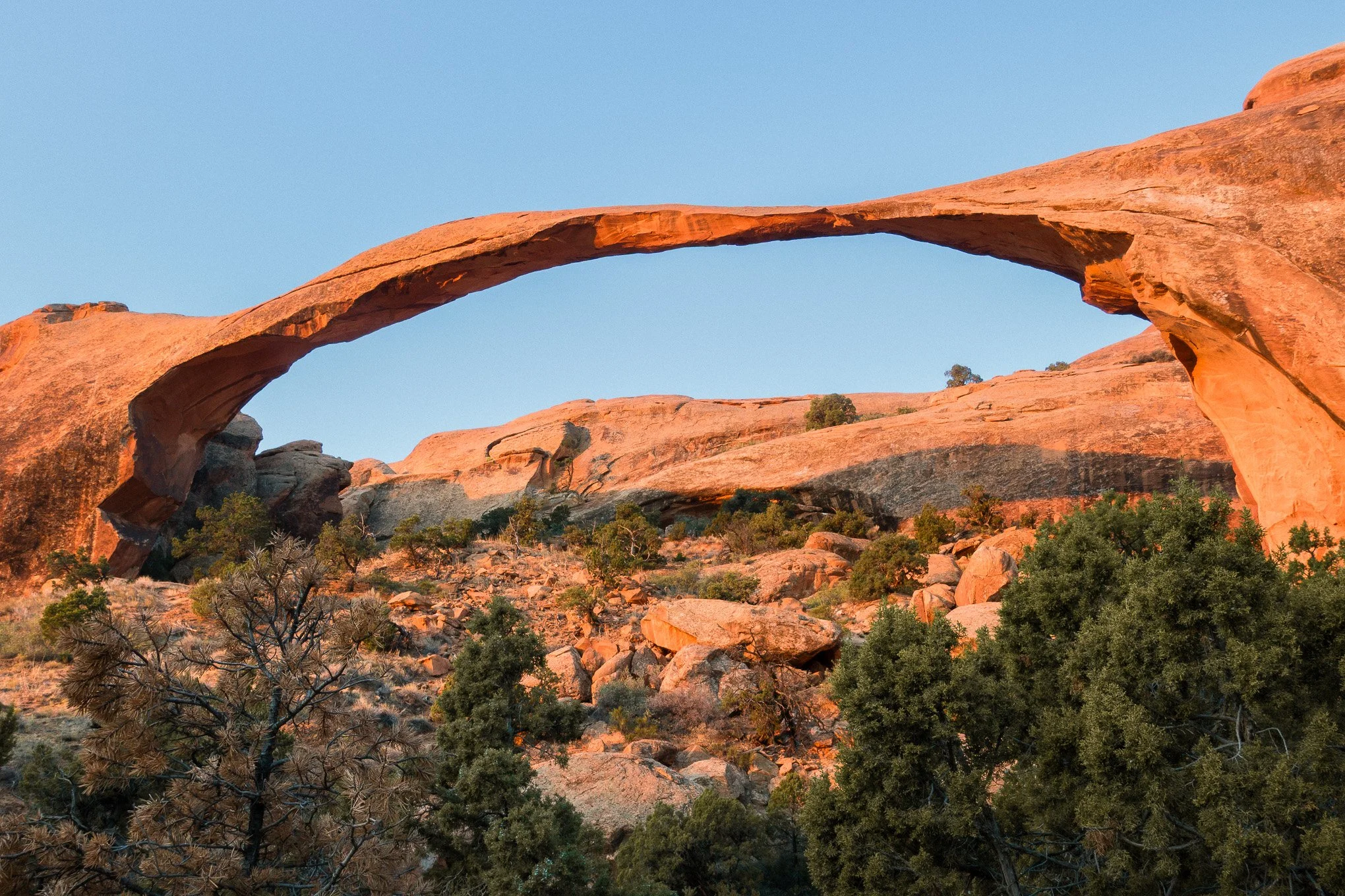 landscape-arch-display.jpg