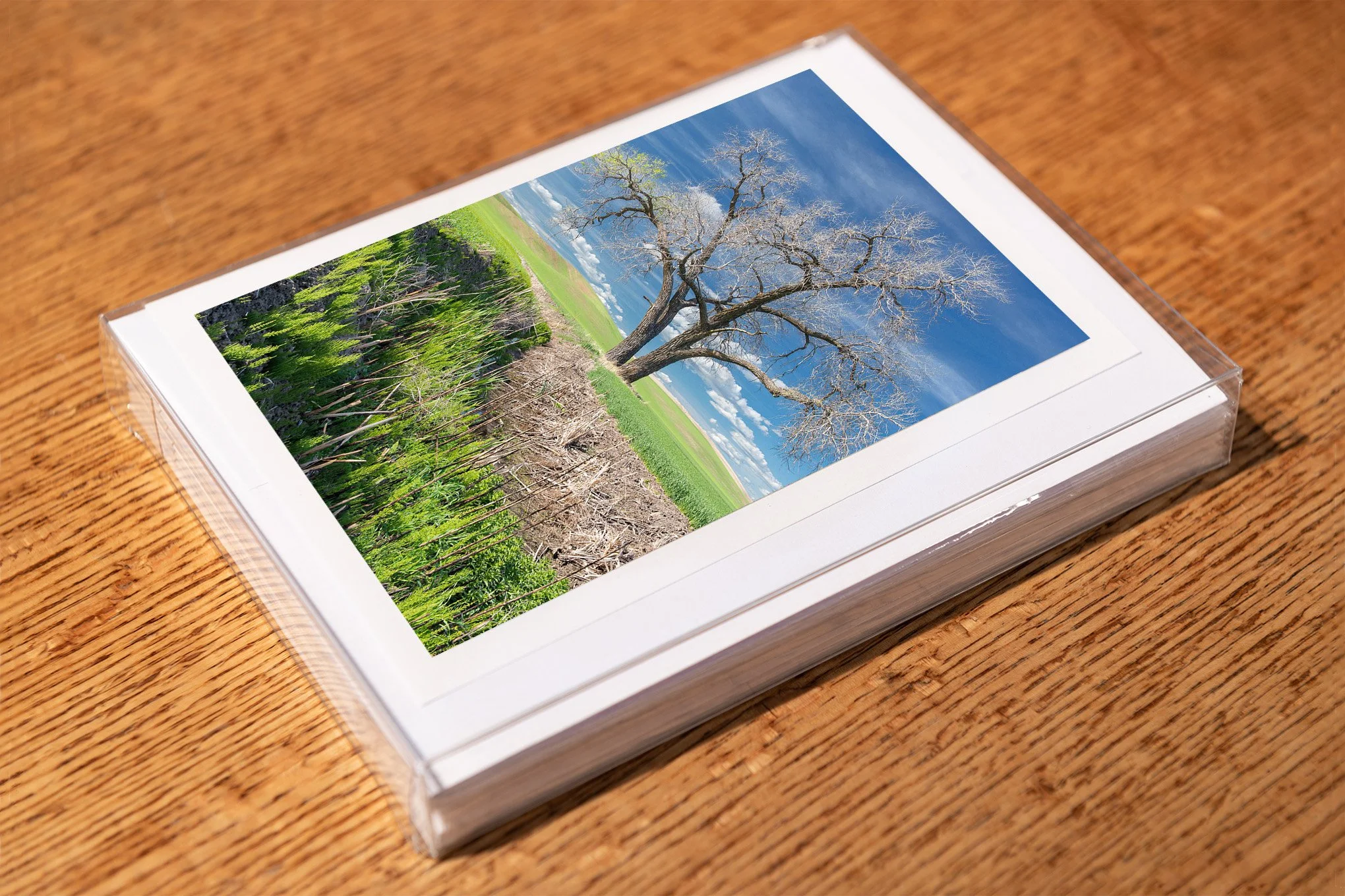 last-limb-greeting-card-mockup-brendan-alex-phoenix.jpg