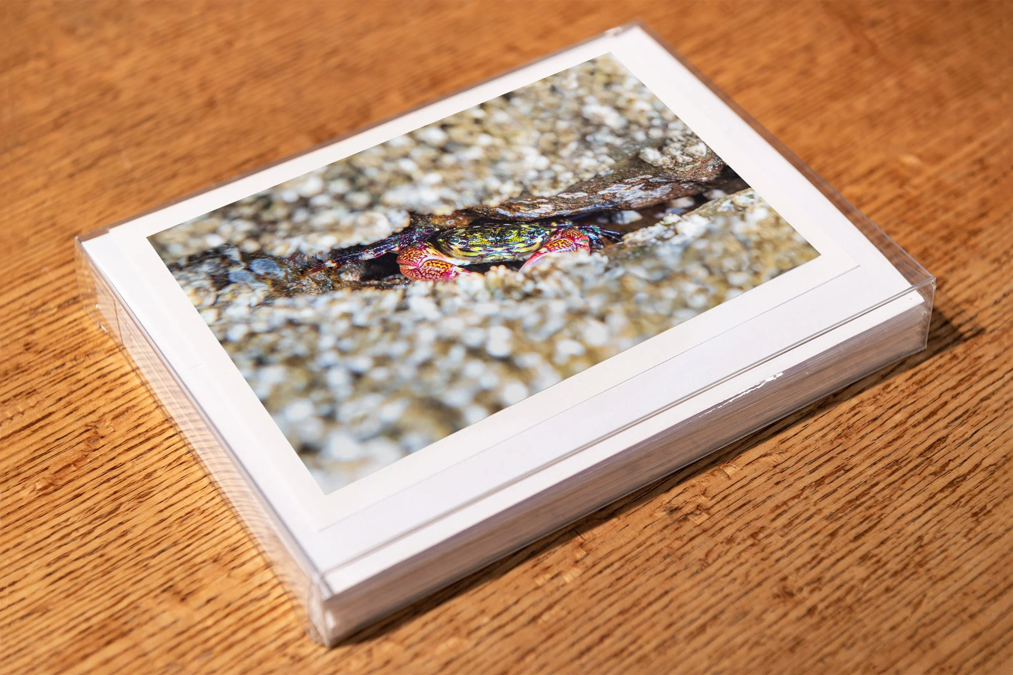 peekaboo-greeting-card-mockup-brendan-alex-phoenix.jpg