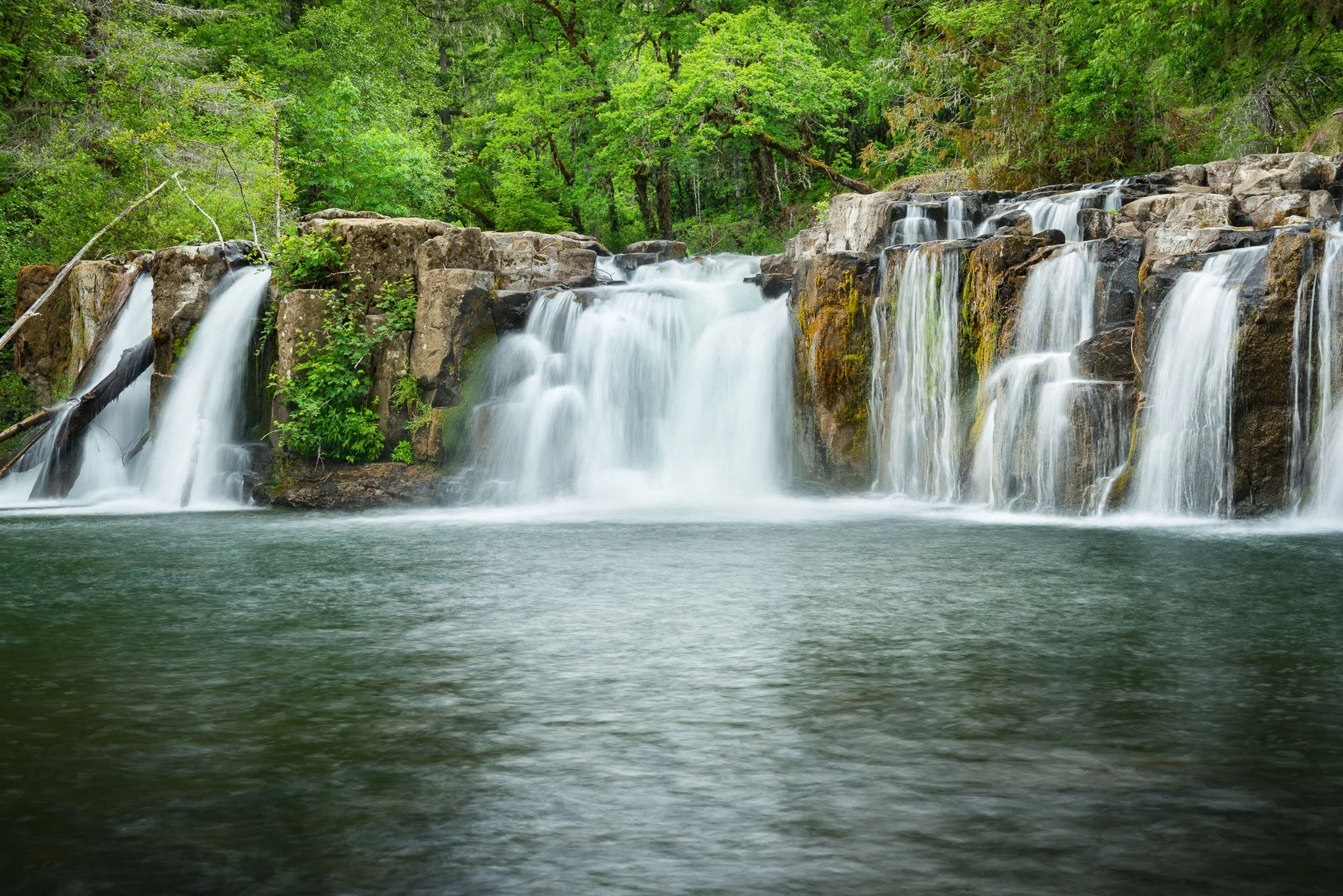 solitude-at-lee-falls-tualatin-river-cherry-grove-oregon-waterfall-spring-landscape-photography-brendan-alex-phoenix.jpg