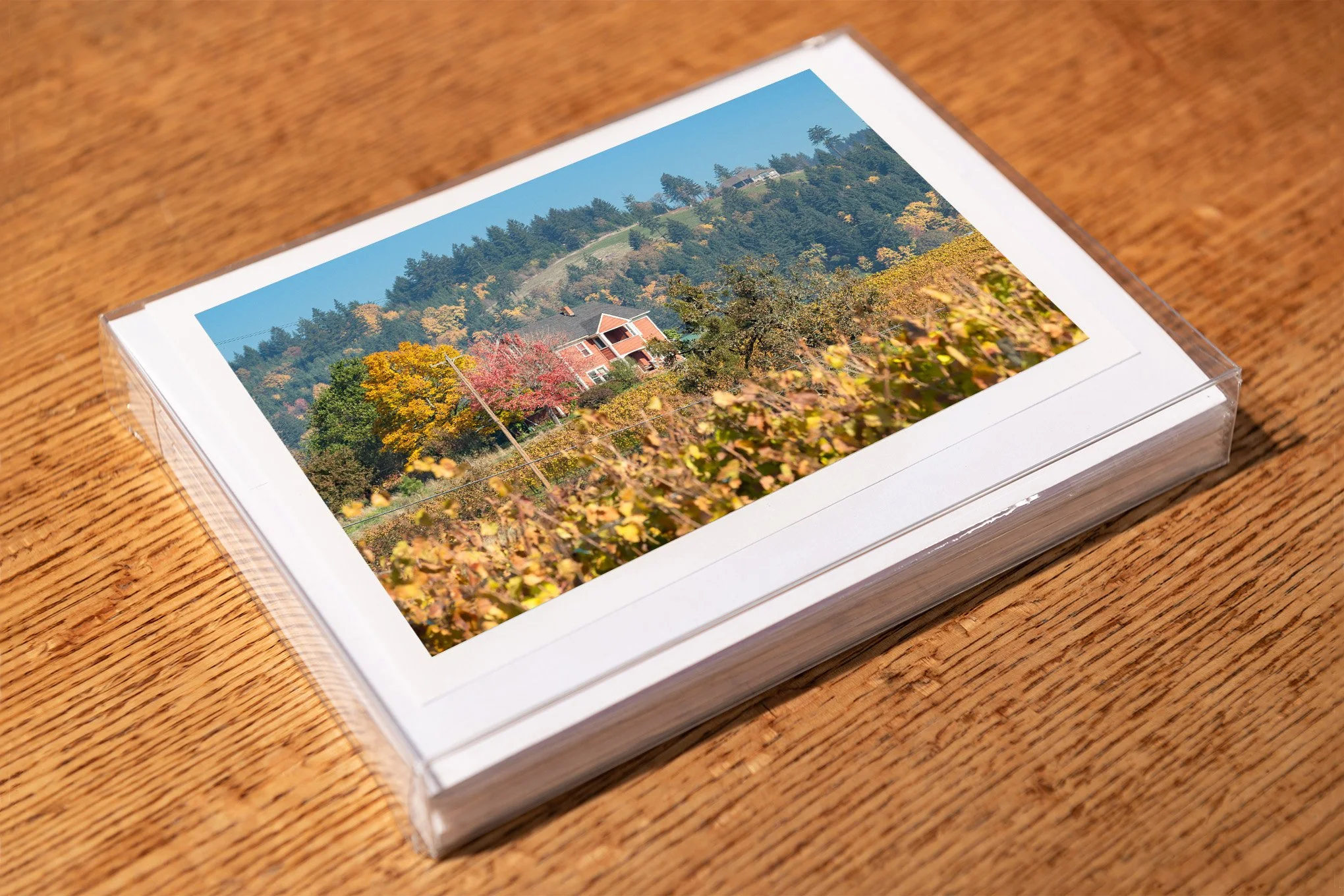 calkins-lane-greeting-card-mockup-brendan-alex-phoenix.jpg
