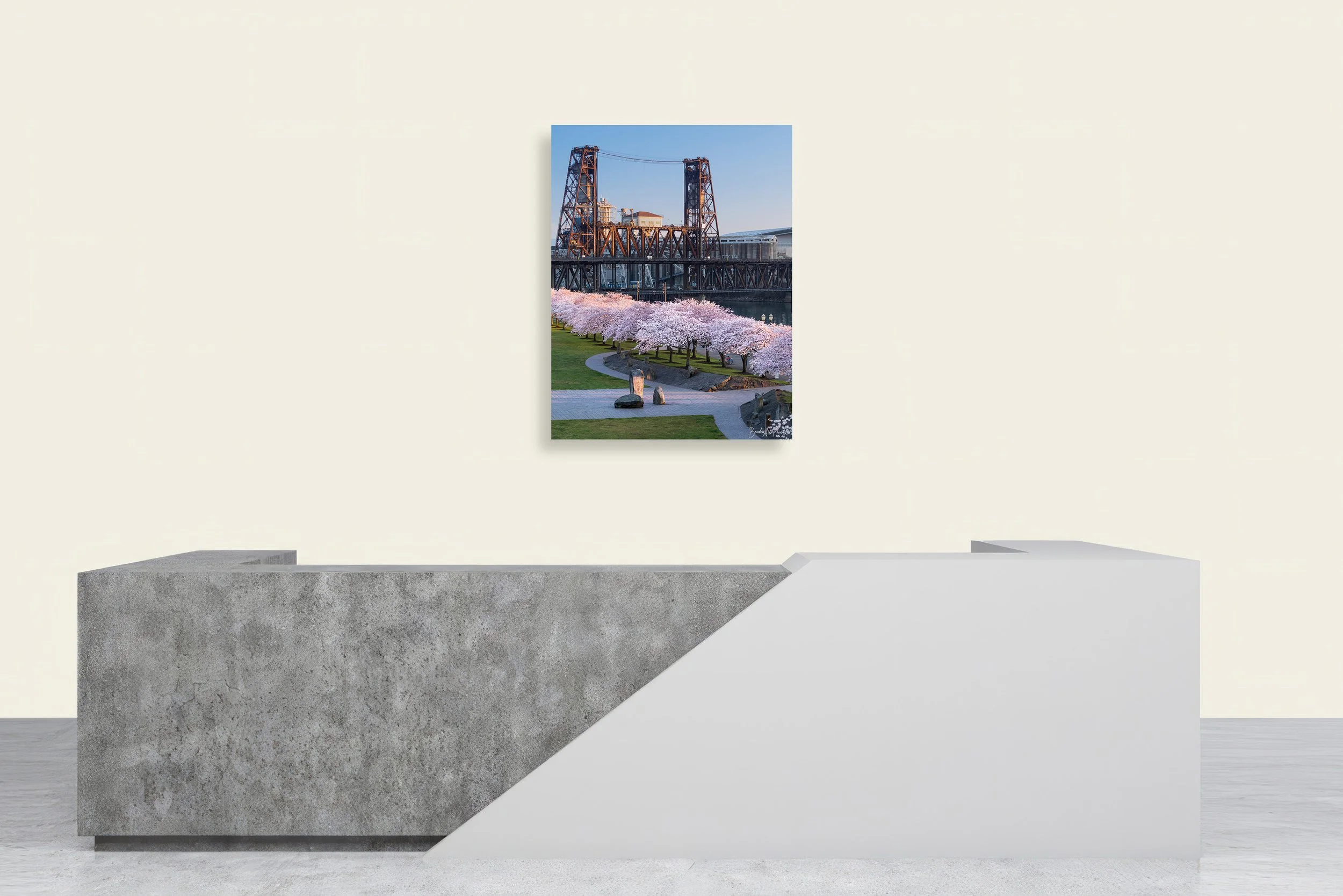 steel-cherry-rock-canvas-print-wall-mockup-brendan-alex-phoenix.jpg