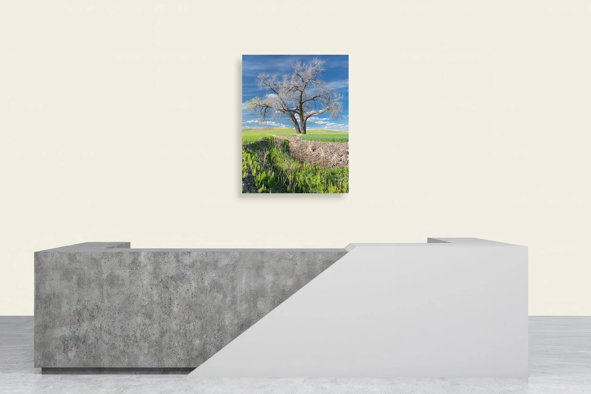 last-limb-canvas-print-wall-mockup-brendan-alex-phoenix.jpg