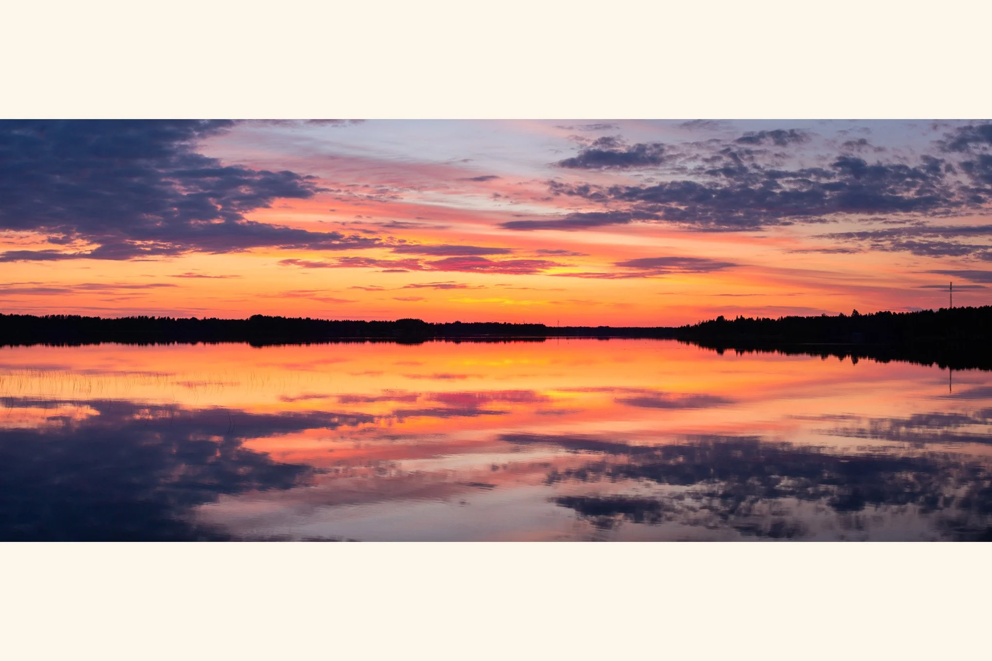 "Midnight Twilight"