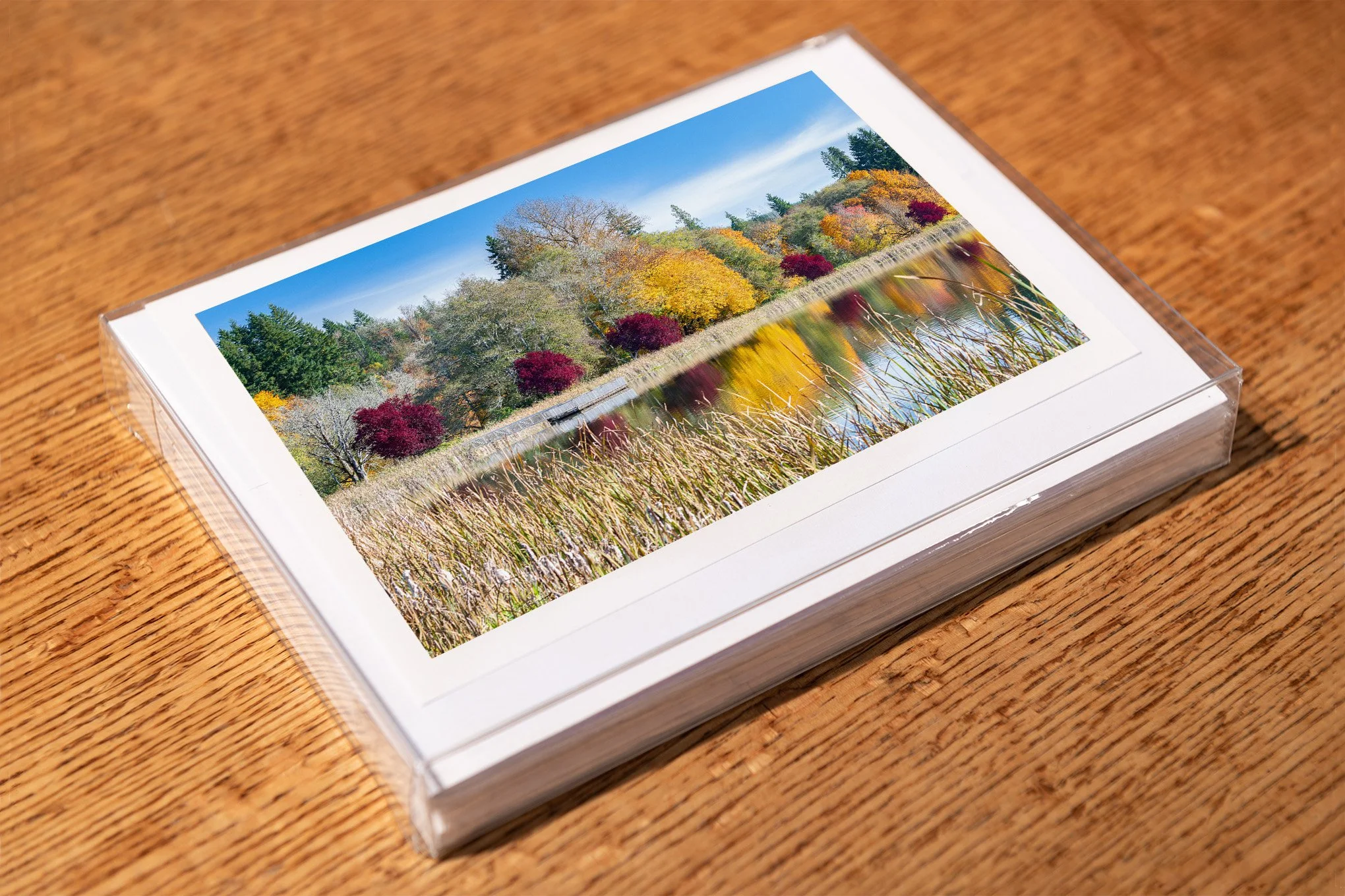 autumn-reflection-greeting-card-mockup-brendan-alex-phoenix.jpg