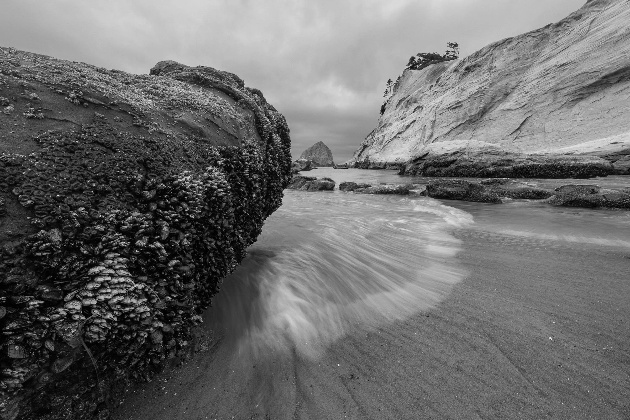tidal-shift-black-and-white-haystack-rock-cape-kiwanda-pacific-city-oregon-coast-landscape-photography-brendan-alex-phoenix.jpg