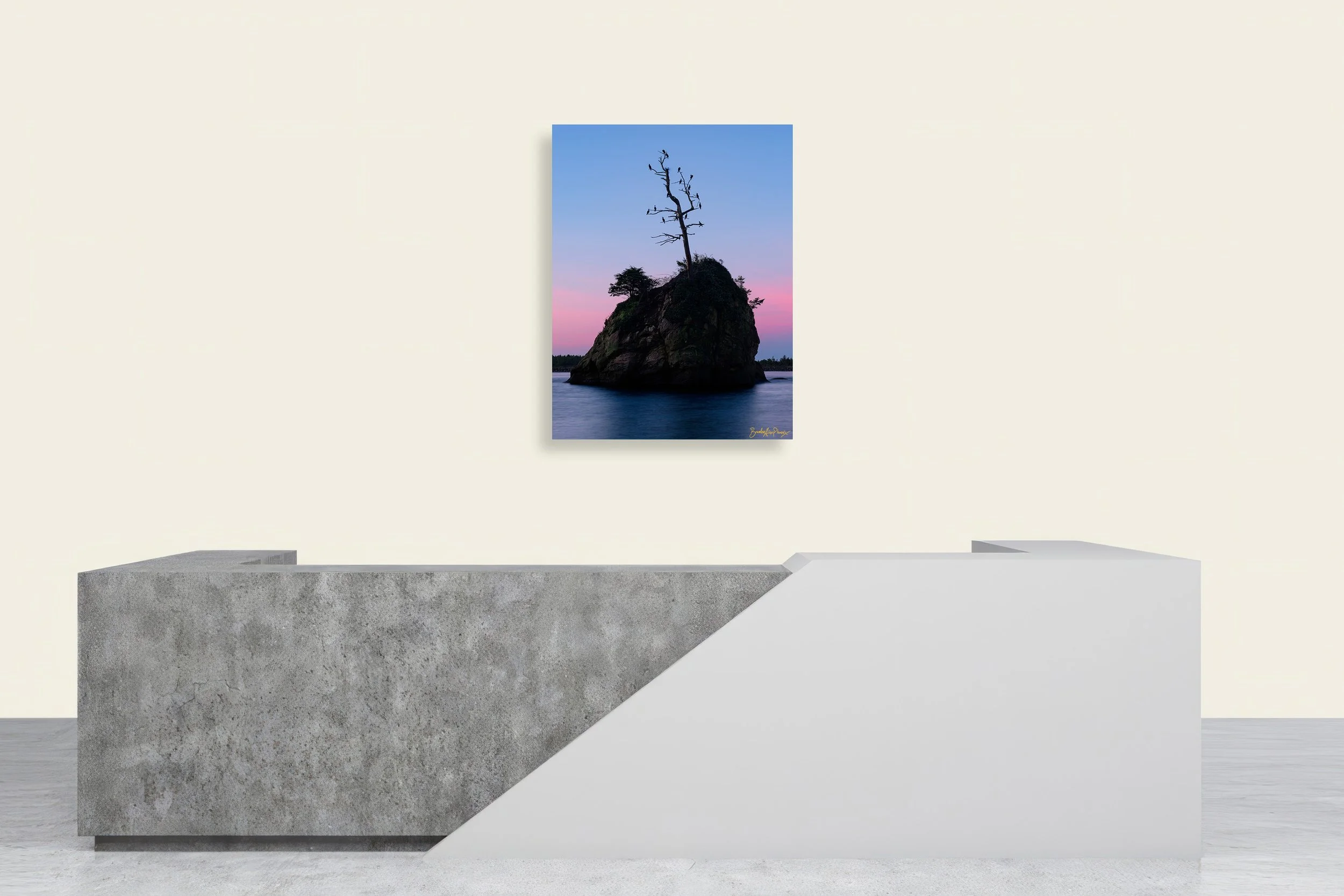 grace-canvas-print-wall-mockup-brendan-alex-phoenix.jpg
