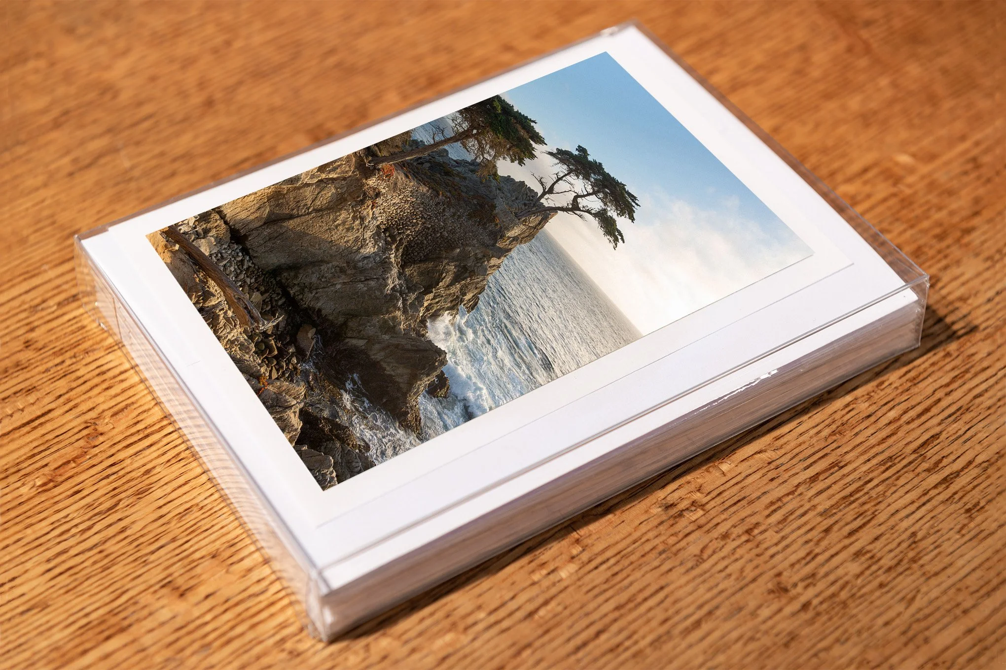 lone-cypress-greeting-card-mockup-brendan-alex-phoenix.jpg