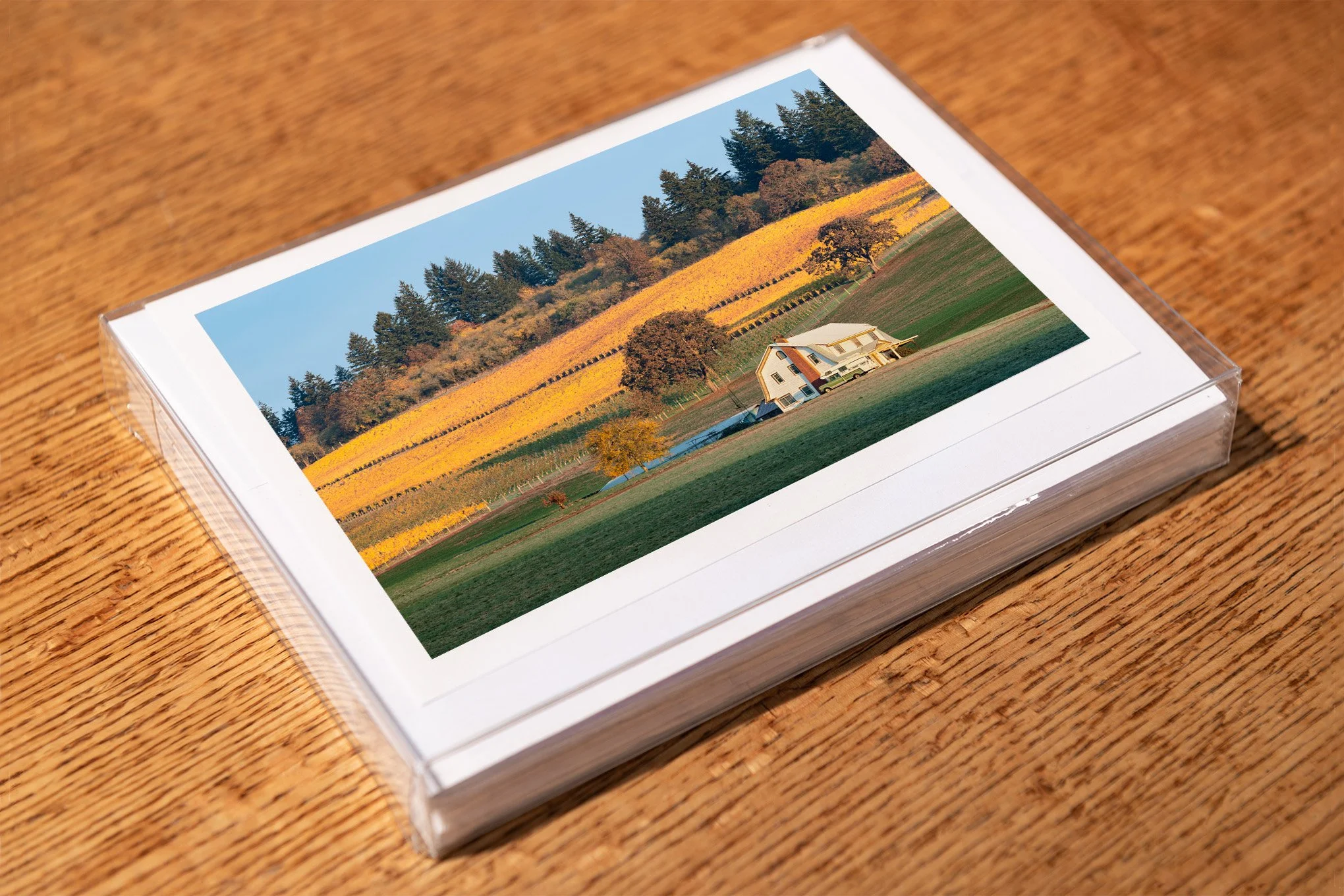 gold-and-green-greeting-card-mockup-brendan-alex-phoenix.jpg