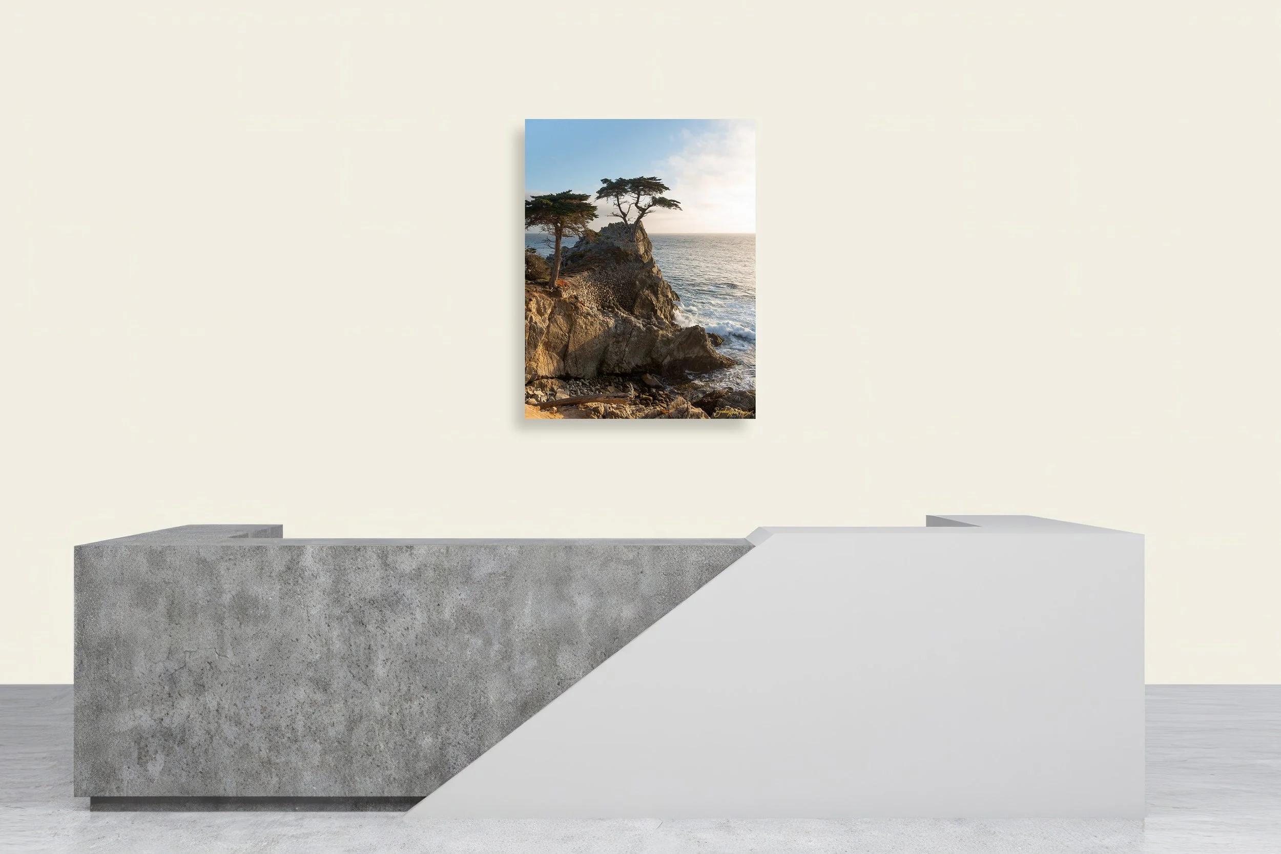 lone-cypress-canvas-print-wall-mockup-brendan-alex-phoenix.jpg