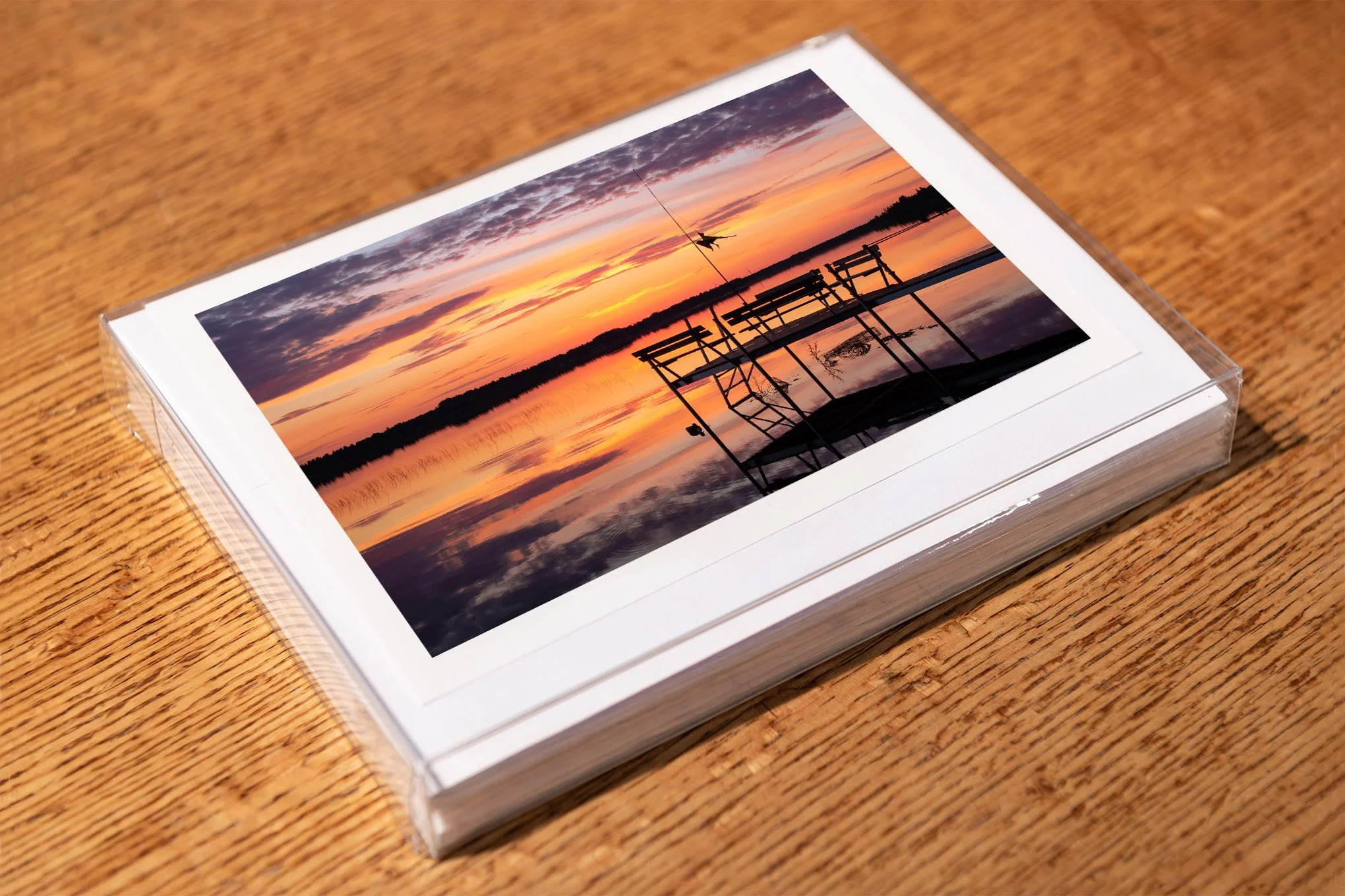 dead-bird-greeting-card-mockup-brendan-alex-phoenix.jpg