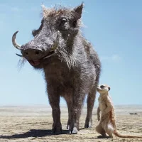 Timon-Pumbaa.jpg