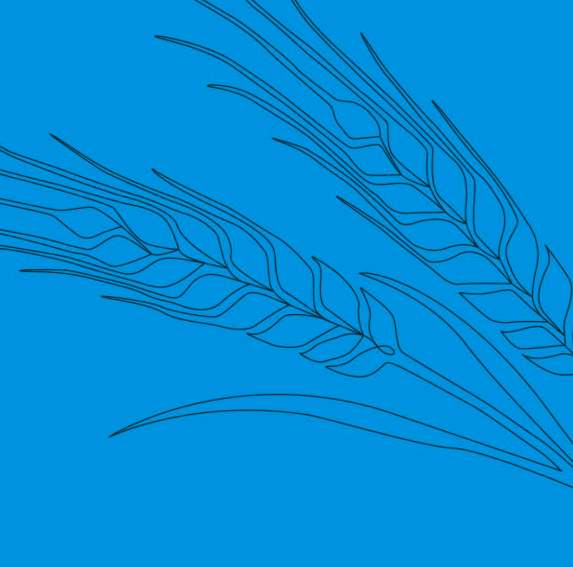 Learn about Shavuot