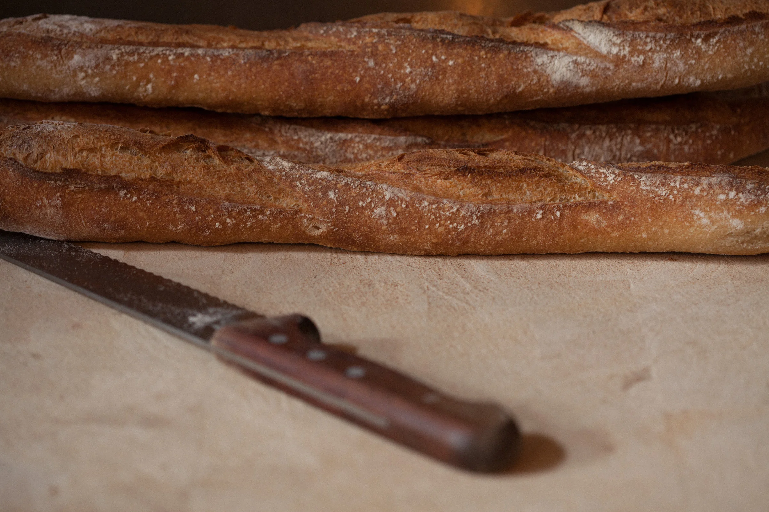 IMG_1180_HI_RES copy.jpg