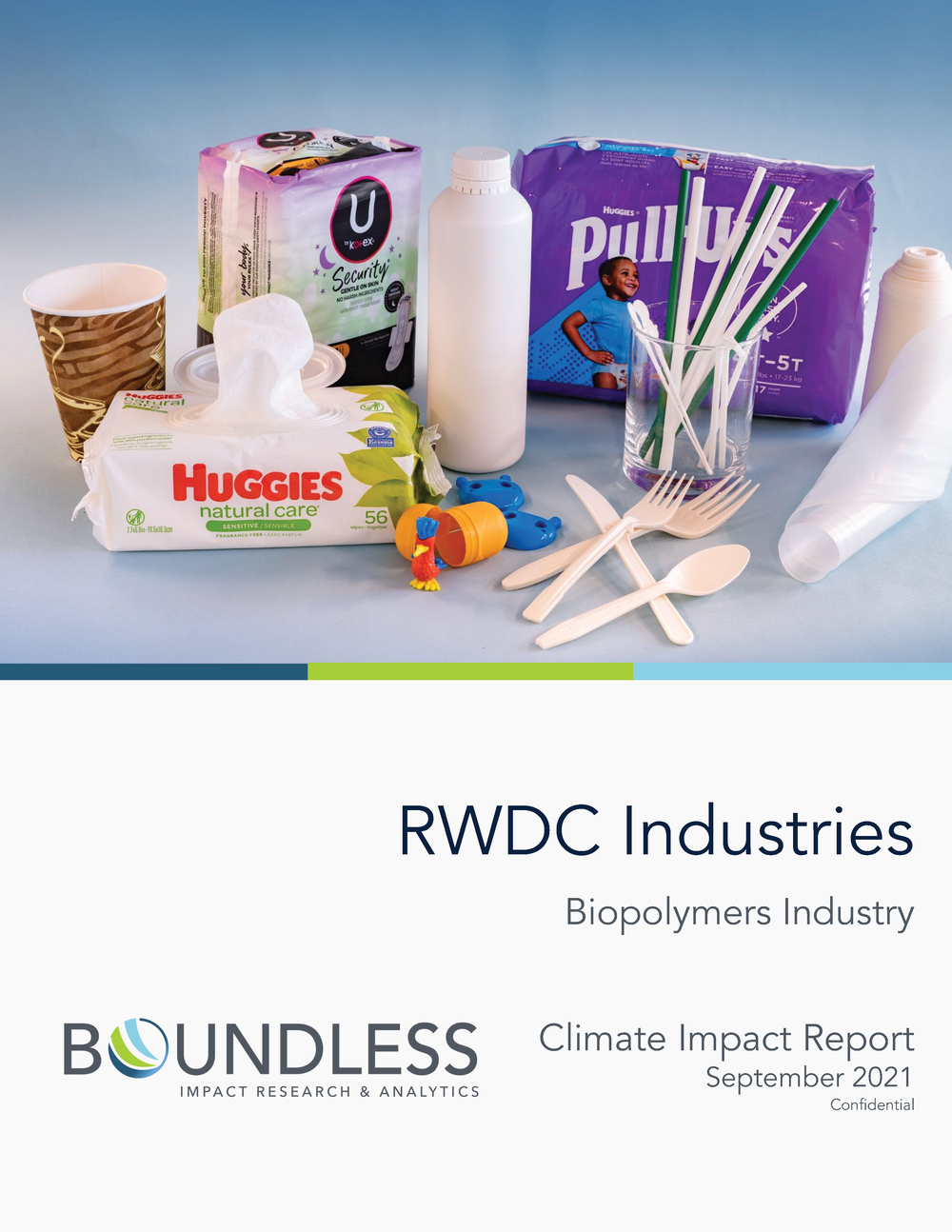 RWDC-Boundless Impact Assessment - September 2021[47402]_Page_01.png