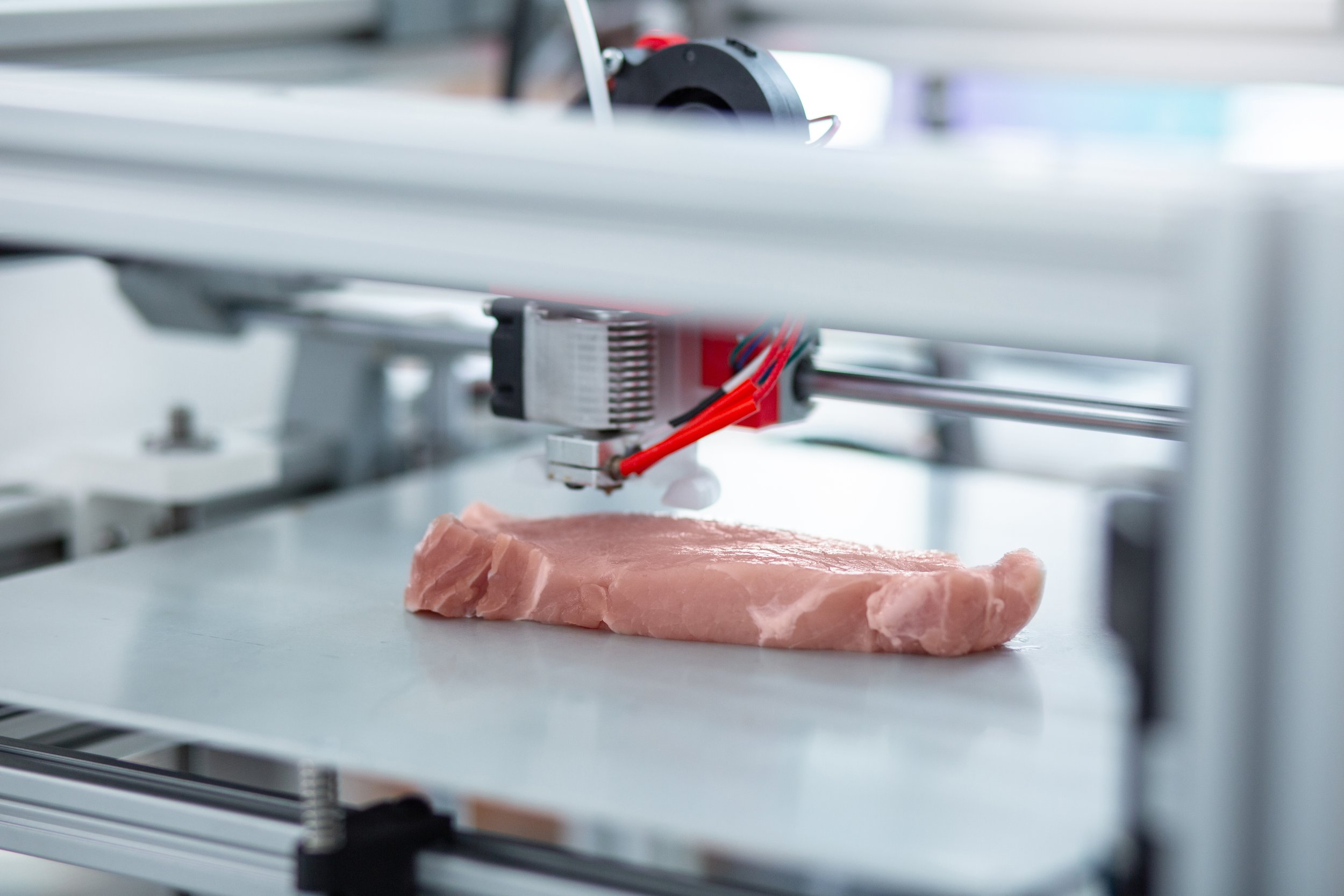 3D Food Printing Cutting Waste, Layer by Layer — Boundless Impact