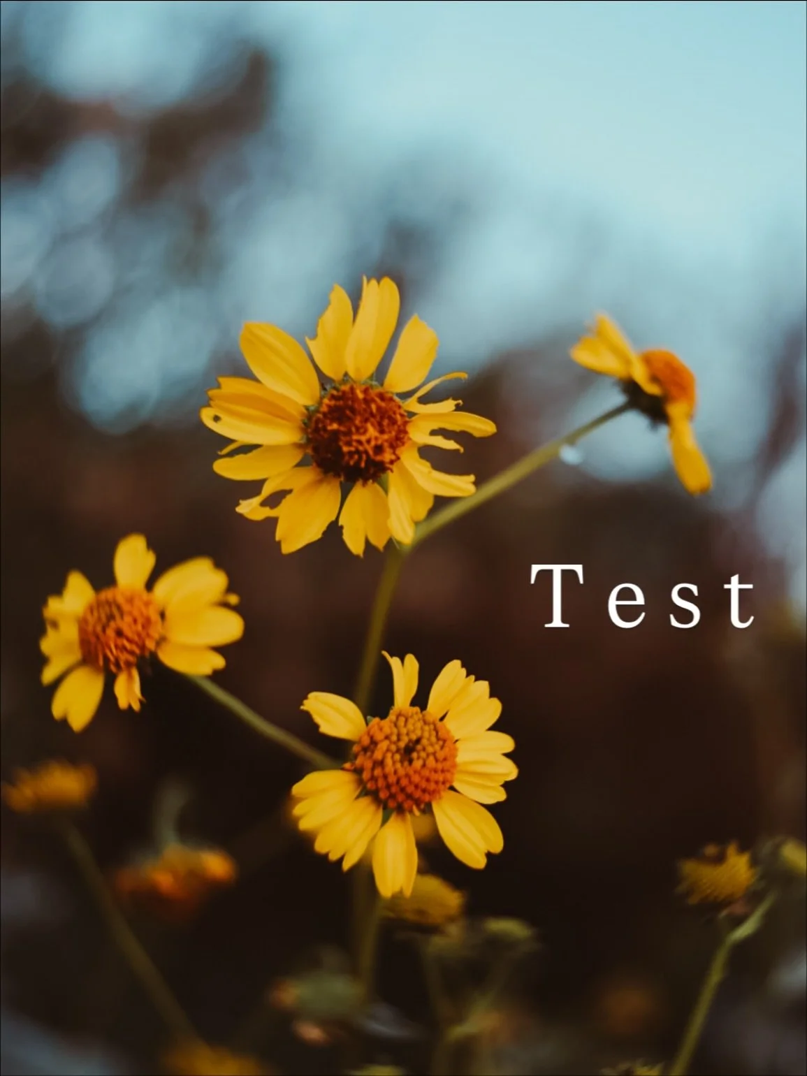 Test- having issues lately posting and also adding music.
Let&rsquo;s try!
Xx, M&oacute;nica