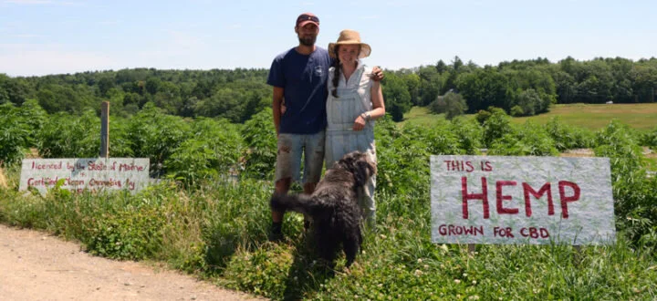 Bangor Daily News 2019 Hemp U-Pick