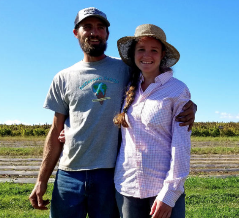 Farmers, Researchers Look To Grow Maine's Fledgling Hemp Industry