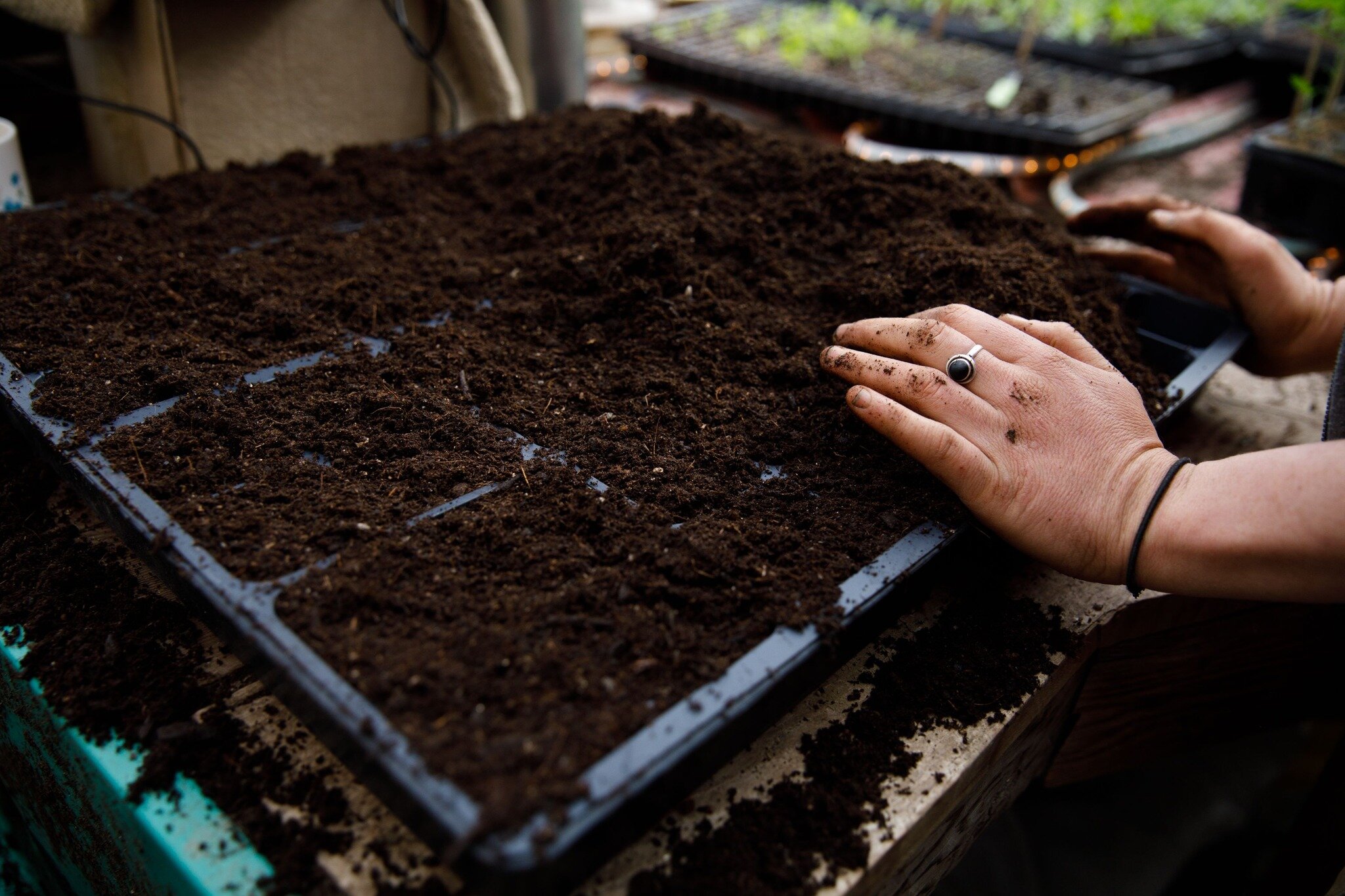 Maine's fifth season, lovingly(?) referred to as Mud Season, is upon us everywhere we go, even in the seedling house! We're very busy seeding, up-potting, and prepping greenhouses for the upcoming growing season! 

Keep an eye out for new products to