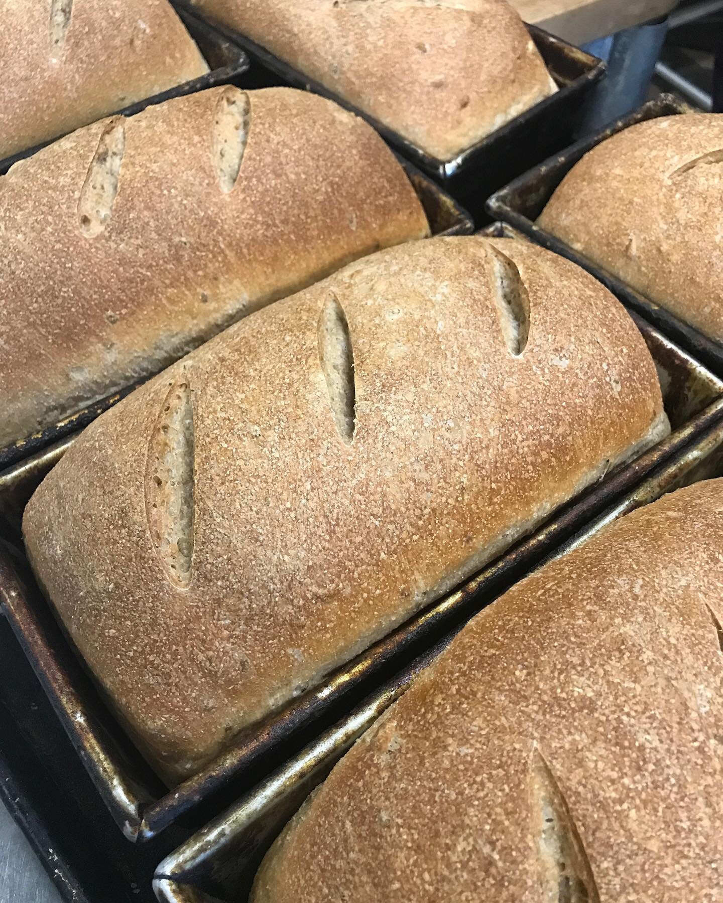 Bread is out of the oven.

Power and phones are up and running. 

It&rsquo;s going to be a beautiful weekend!