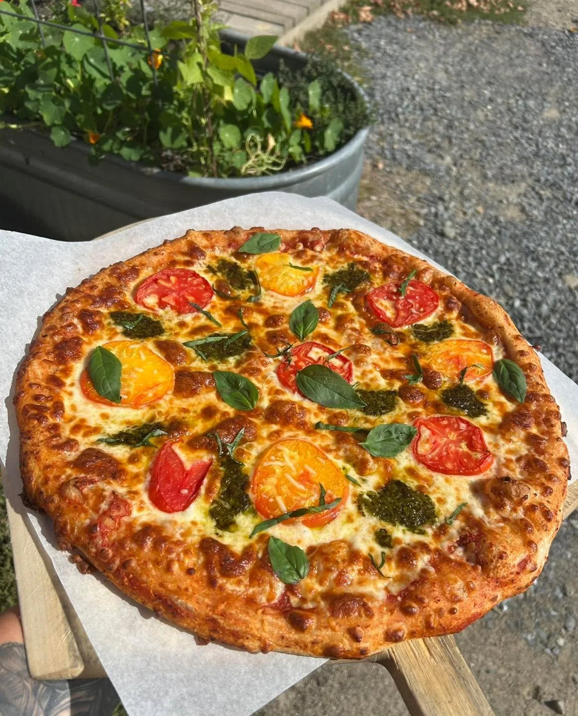 Tomato Season is still going strong! 
This Friday&rsquo;s Pizza Special features our beautiful tomatoes and basil with dollops of pesto. 

Pizza Night wraps up at 7pm now that the days are growing shorter. You should still call early to get the time 