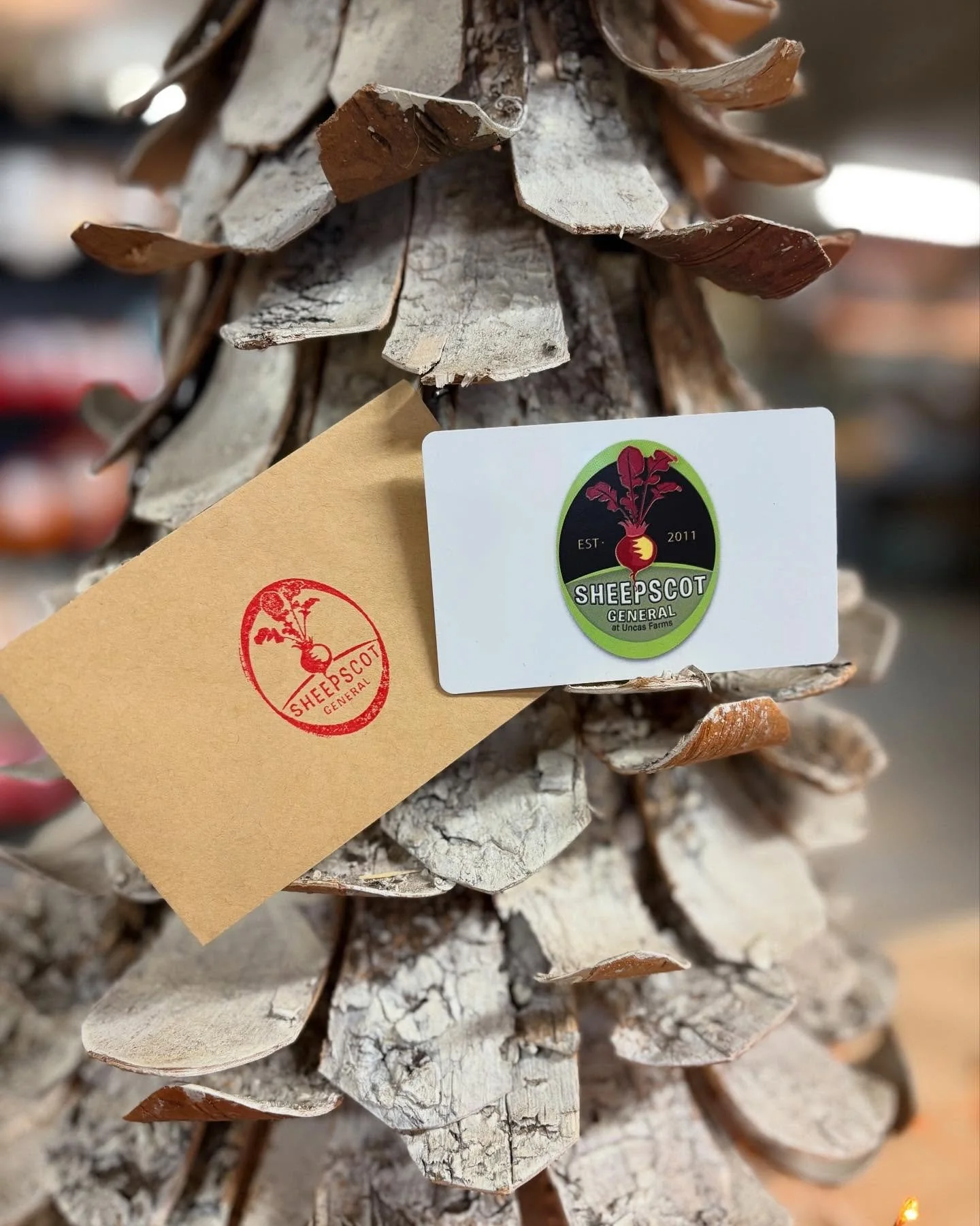 We&rsquo;re answering a number of calls asking if we have gift certificates. The answer is YES! 

Sheepscot General gift certificates make a great gift for anyone in your life. Perfect for the pizza lover, the kids who love the candy wall, your appre