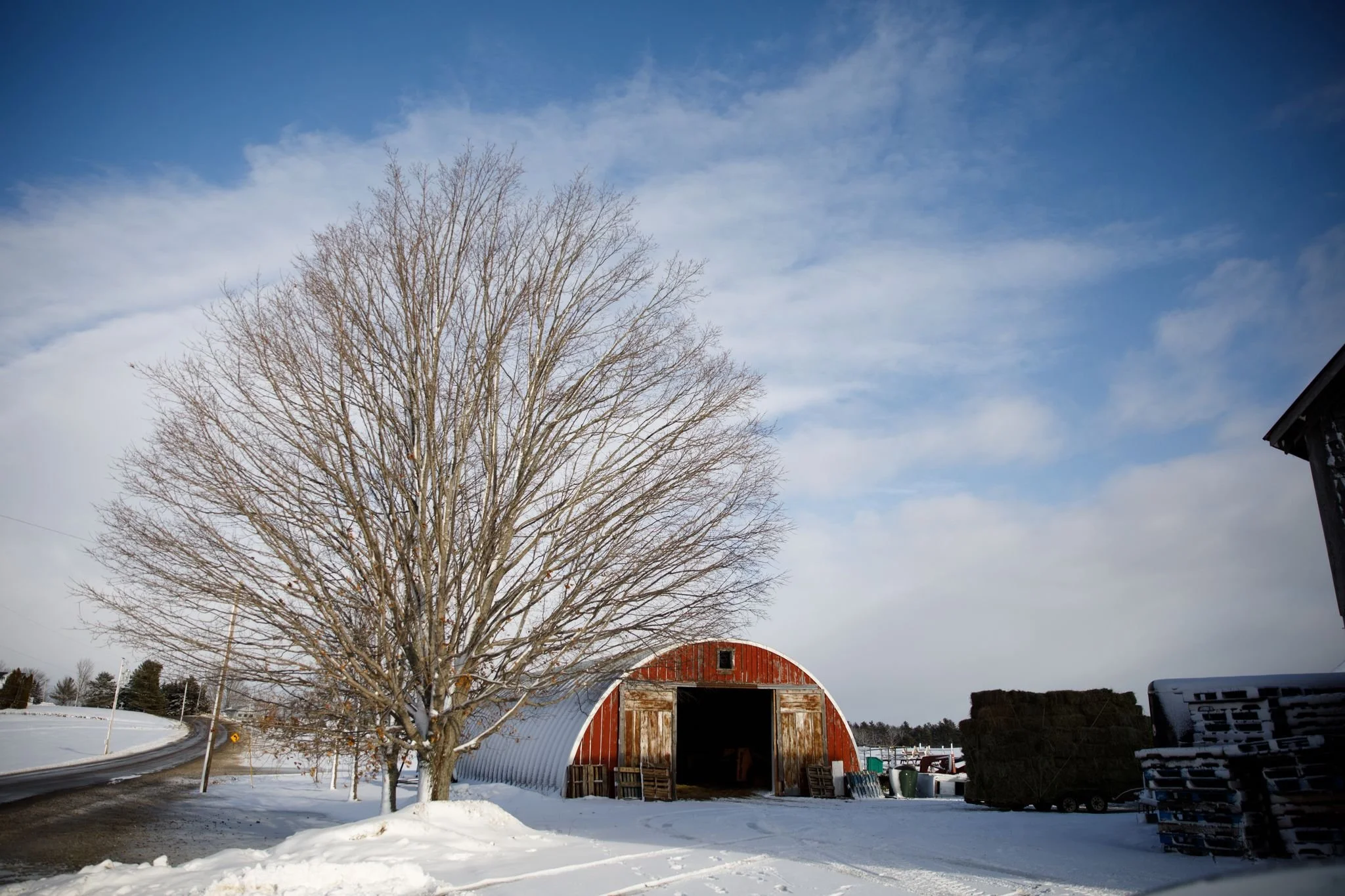 ❄ Open regular hours on New Years Eve and New Years Day: 8am-6pm ❄

❄ We are hiring. If you know someone interested, please send them our way! 

Looking for a shopkeeper to join our awesome customer service crew. Position is part-time right now, with