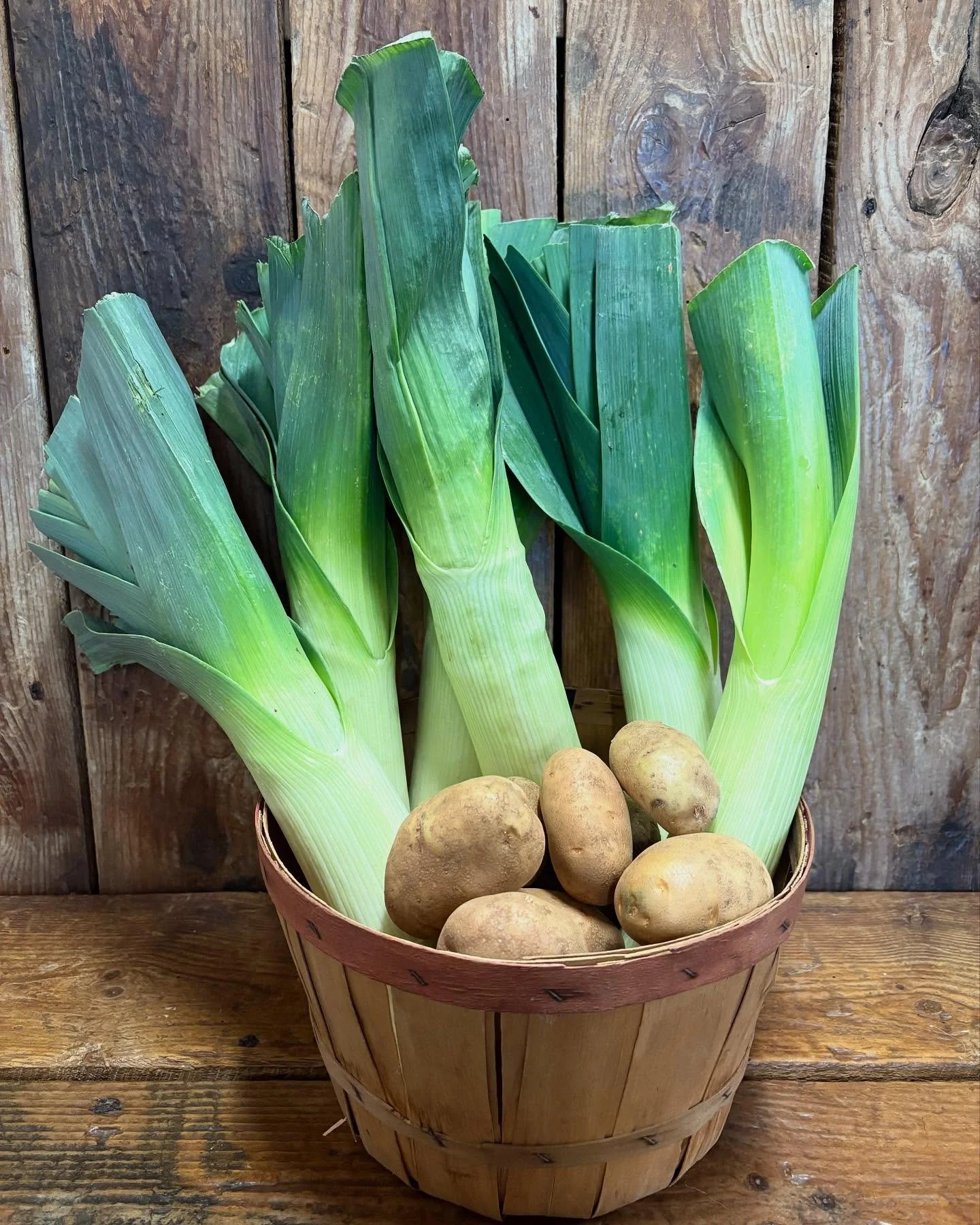 We&rsquo;re excited to share with you all that Friday night music is back! Winter musicians will play in our cafe from 4:30-6:30pm on Fridays through the Spring, at which point we&rsquo;ll move back to the outside stage. 

On January 16, Maine-based 