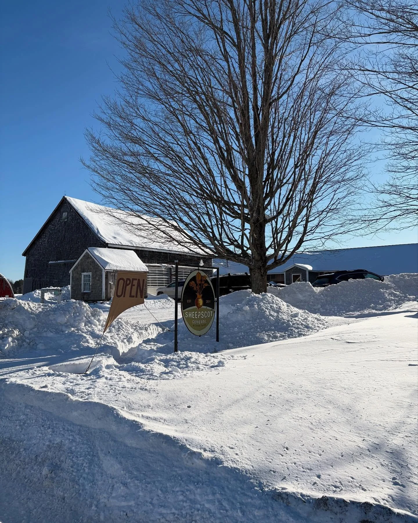 What a beautiful snowfall! ❄️ 

When you finish shoveling out, come on by for some fresh bread and a bowl of hot Tuscan Kale and Chickpea soup.
