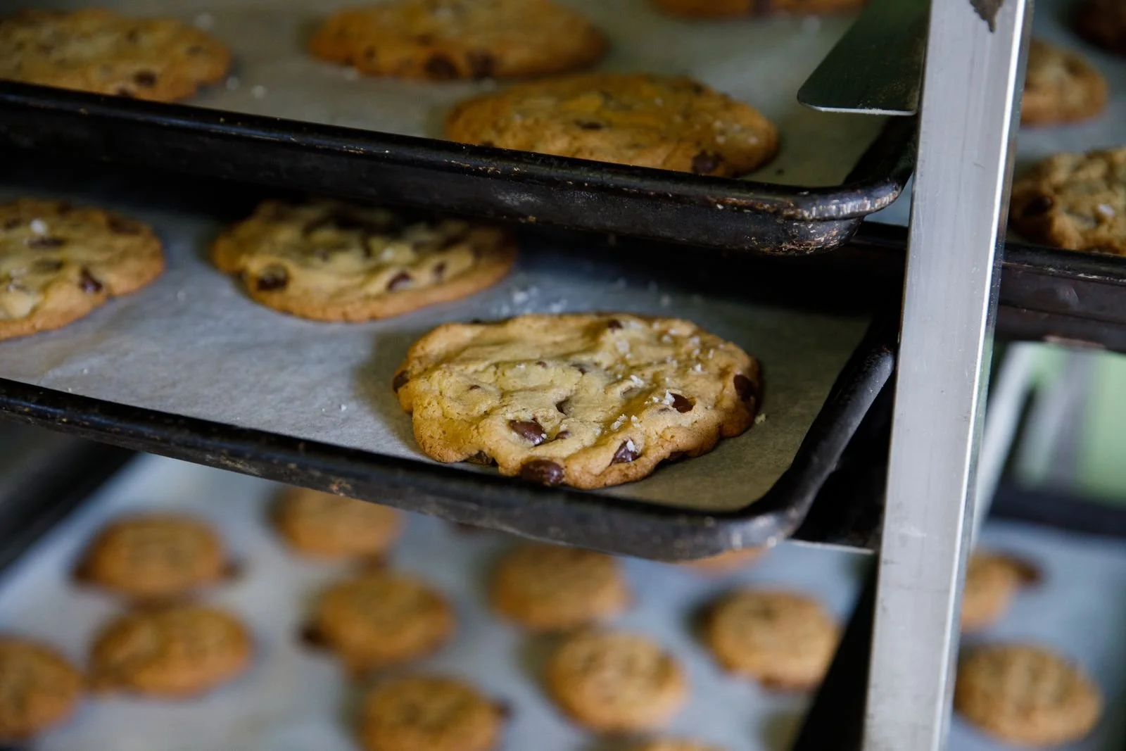 This Friday join us as we welcome musicians Nolle Bond and Evan McIntosh, 4:30-6:30p in the cafe. Nolle and Evan have played songs in a number of projects over the years, sometimes together, sometimes not. They'll be trading a guitar and bass back an