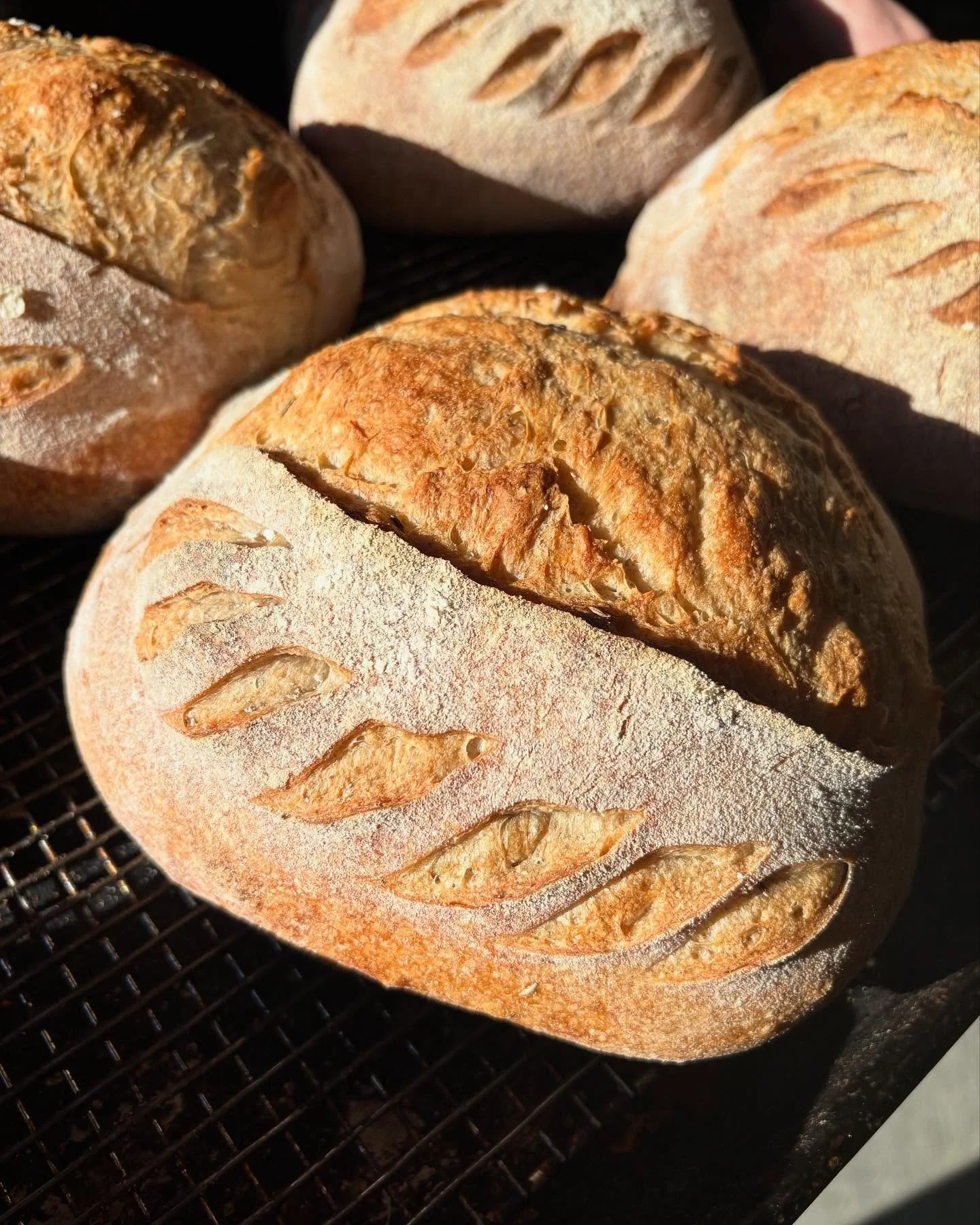 Just look at this gorgeous Sourdough Rye that just came out of the oven! It smells so good in here. 

#freshbread #bakedfreshdaily #sourdoughrye #smellssogood #localbakery #justlikeitusedtobe #cleaneating