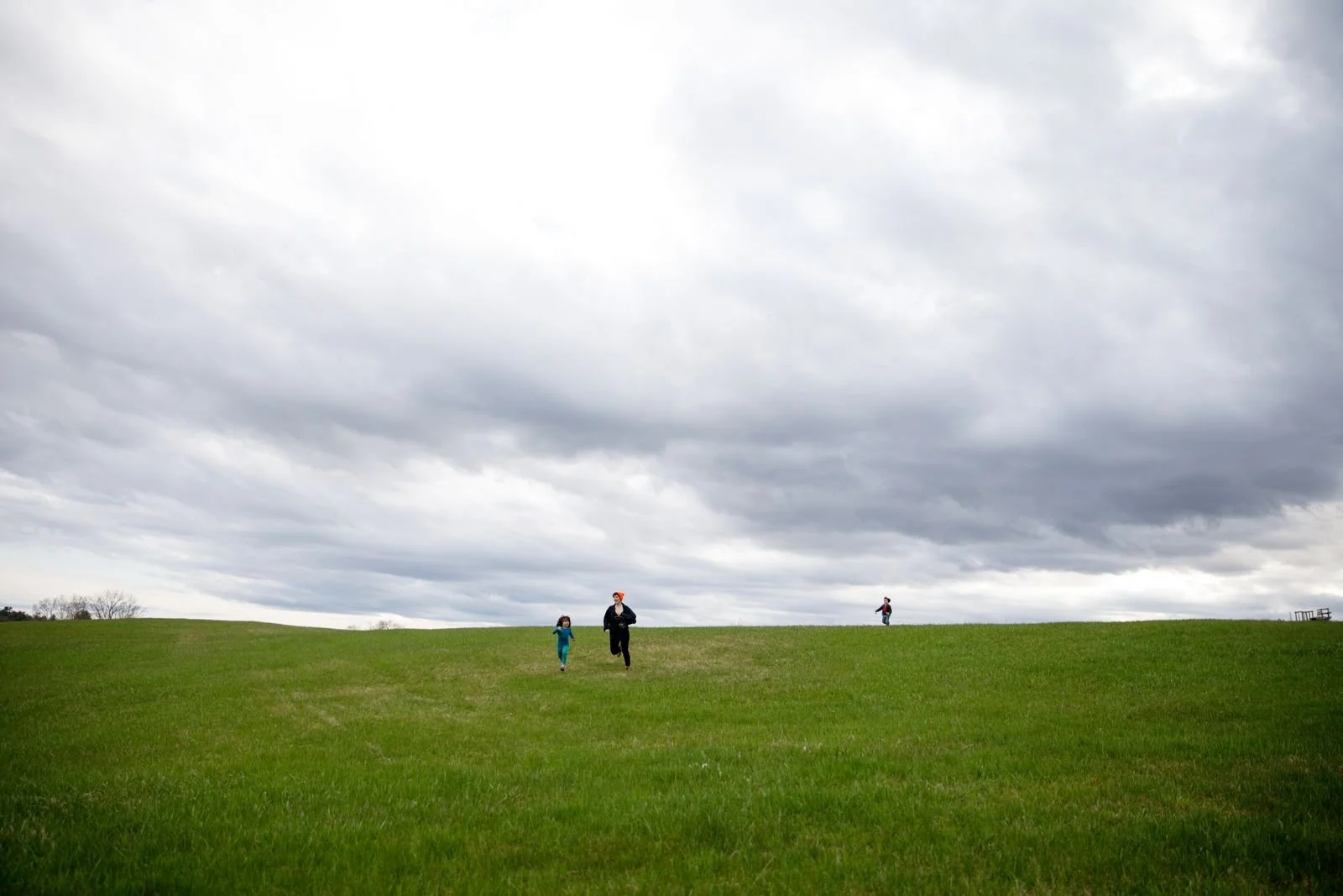 A land without insects is a land without life. 

Native plants encourage beneficial insect abundance, filling gardens with butterflies, bees, and birds, creating a healthy and robust yard ecology which spreads to our communities and beyond. 

Plant s