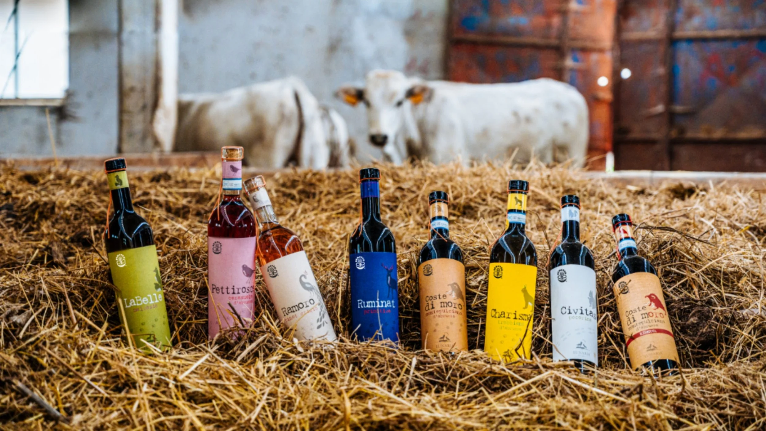 Wine Tasting with Lunaria Biodynamic Italian Wines!  