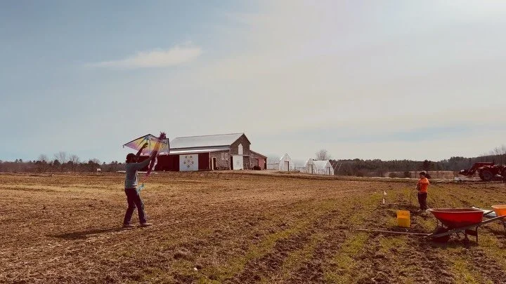 Friday Music, 4:30-6:30pm:
Singer-songwriter, Tom Giordano, is a longtime musician in the Hallowell area and beyond. His music includes originals, and an eclectic mix of folk, rock, and country. &ldquo;I always look forward to performing at the Sheep