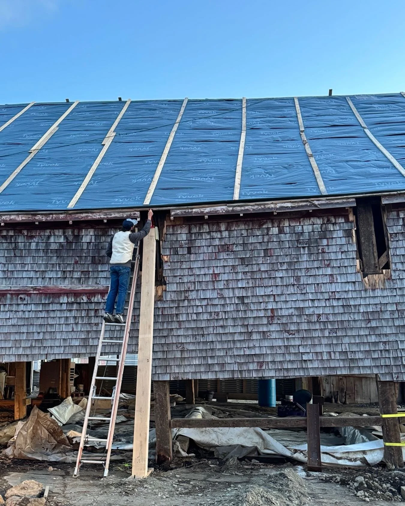 Friday Pizza Special:
Roasted garlic cream sauce with bacon and swiss chard

Friday Music, 4:30-6:30: Peter Blachly&nbsp;was born into a family of classical musicians and began studying piano with at the age of 4. At age 8 he was accepted as a sopran