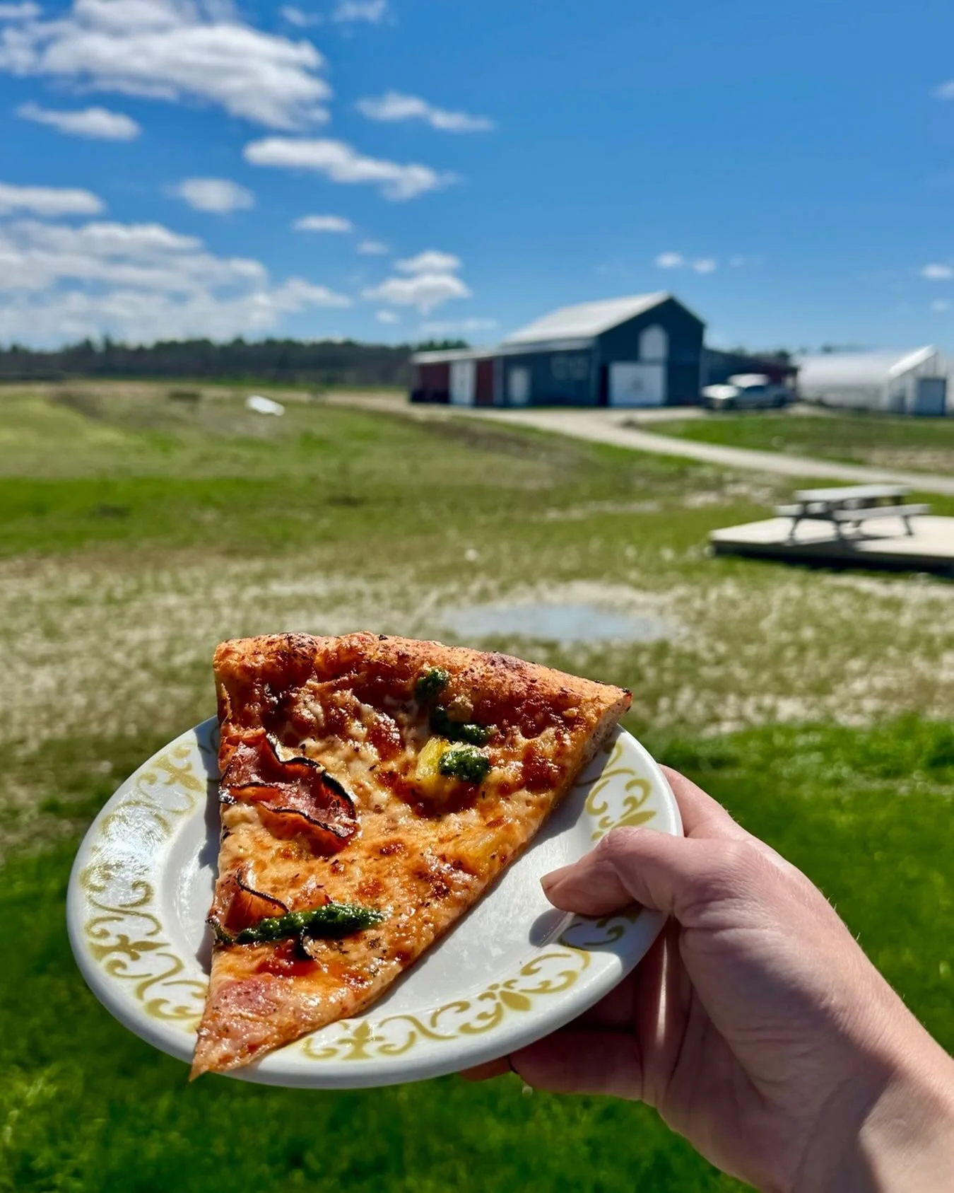 Friday Night Pizza Special: ham + pineapple + zhoug 
(spicy cilantro sauce)

5-7pm Music: Tom Whitehead- (piano, guitar, accordion, vocals) - Tom has been learning and performing music for about as long as he can remember.  Starting piano at age 3, a