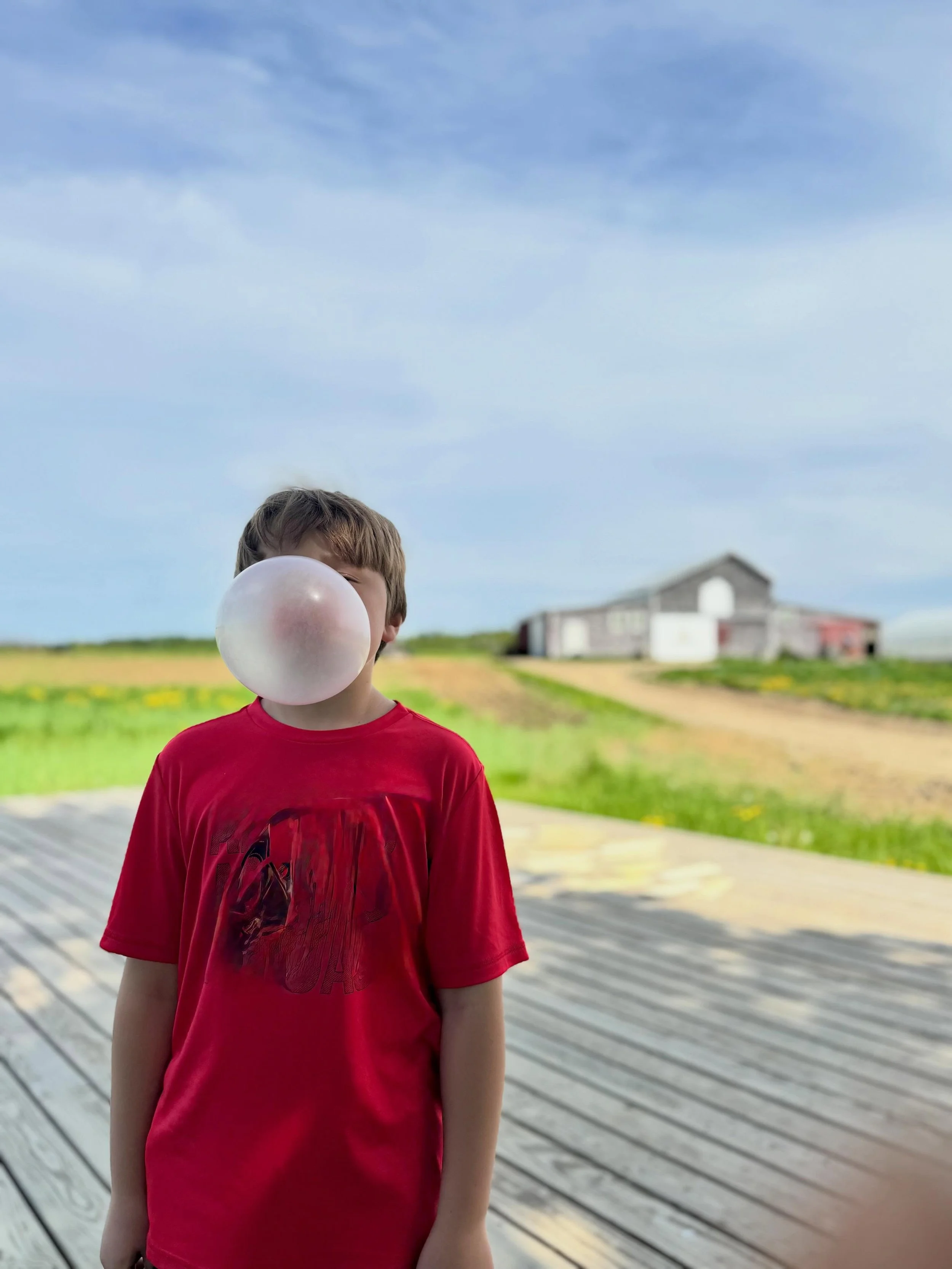 Come get some bubble gum on your eyelashes with us tomorrow! 

pizza special: Creamy Dill Pickle Pizza topped with fresh farm dill and fried shallots! 

Outdoor Music &amp; Pizza Night has begun for the season at Sheepscot General!&nbsp; 
This Friday