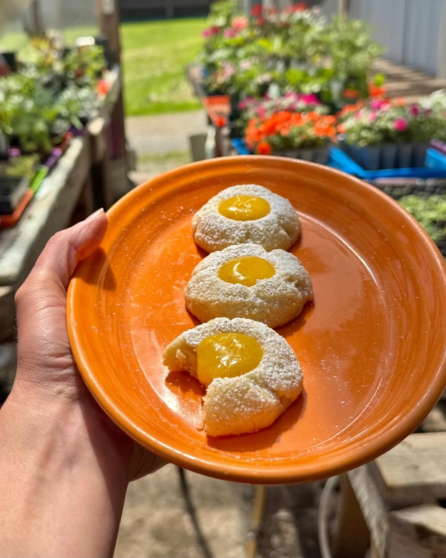 Orange thumbprint cookies with grapefruit curd 🍊✨ (gf)

One of the perks of stopping by for a treat? You get to enjoy just one cookie without baking a whole batch at home &mdash; and without the temptation of eating them all yourself 

#midcoastmain