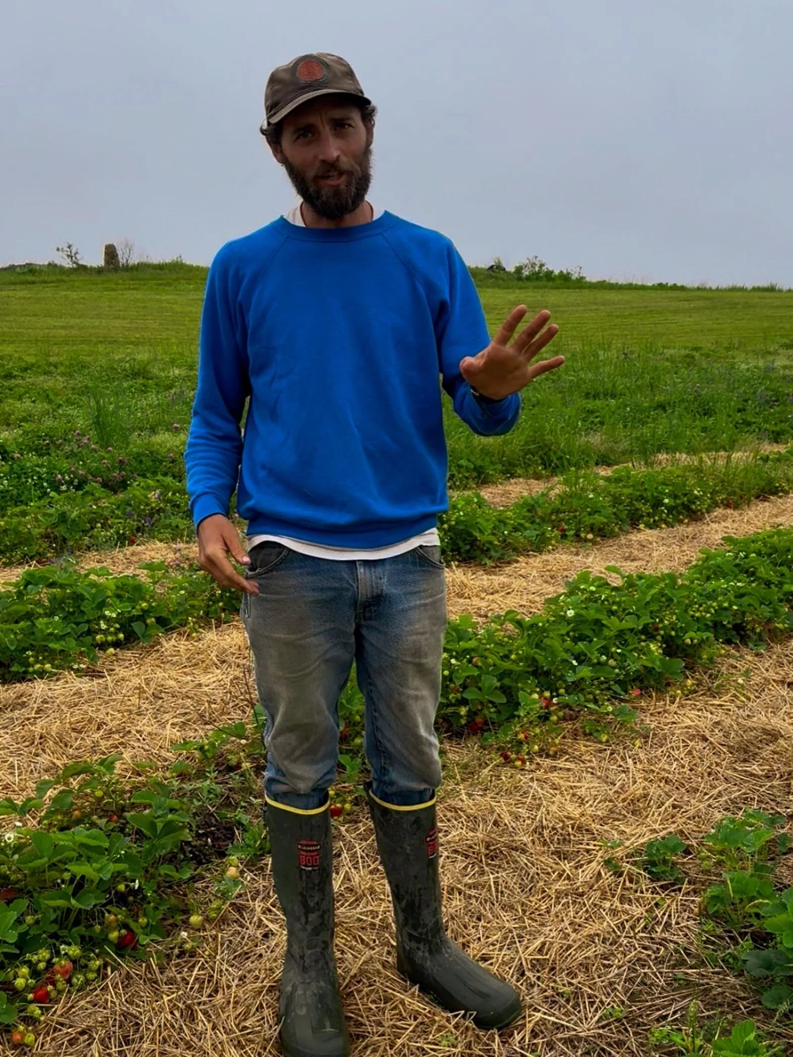 🍓 UPick strawberry fields will be closed on Thursday, June 25, and Friday, June 26. 

We&rsquo;ll continue to post updates on our website, social media pages, and after-hours phone message so you can stay informed. Thanks for your patience, and we&r
