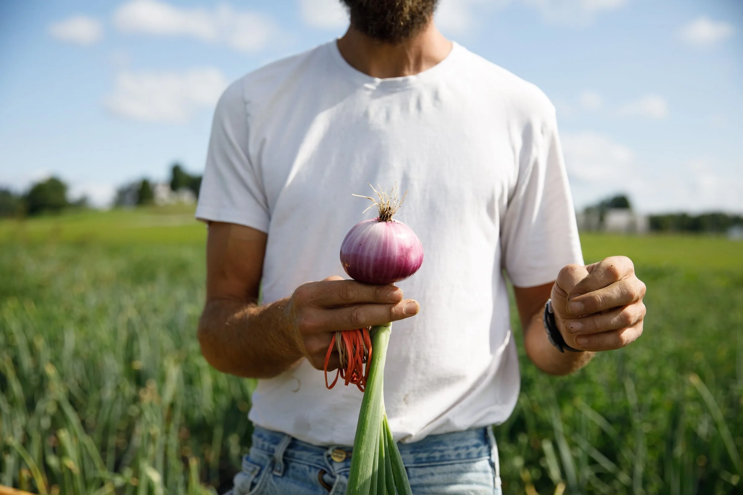 Friday Night at the Farm

This week&rsquo;s pizza special: Peaches, Lemon-Herb Ricotta, Bacon &amp; Hot Honey!

Friday, Aug 14 | 6&ndash;8pm | Outdoor Stage

Live music from The Midnight Riders &mdash; Alt. Country, Soul &amp; Roots Rock straight fro